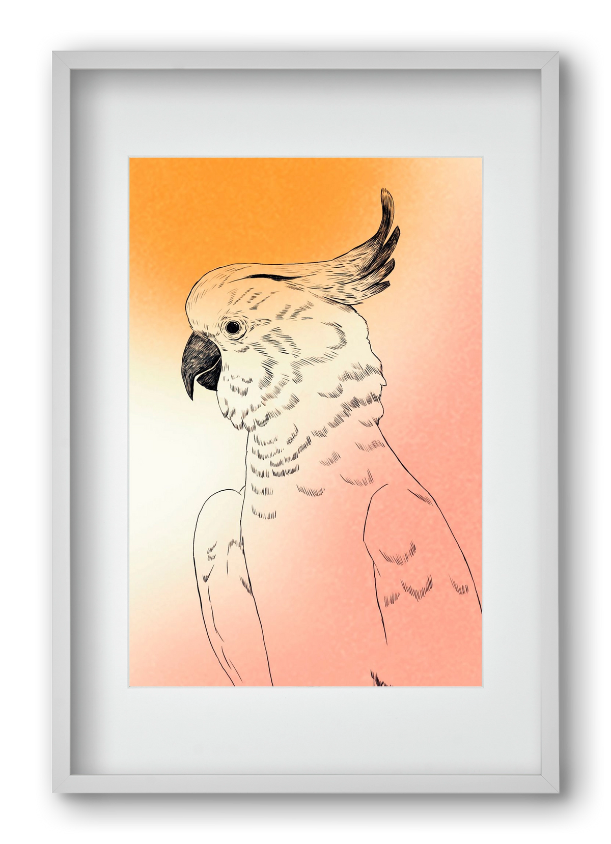 Kakadu, 40x60 cm (30x45 cm), Fehér keret, paszpartuval