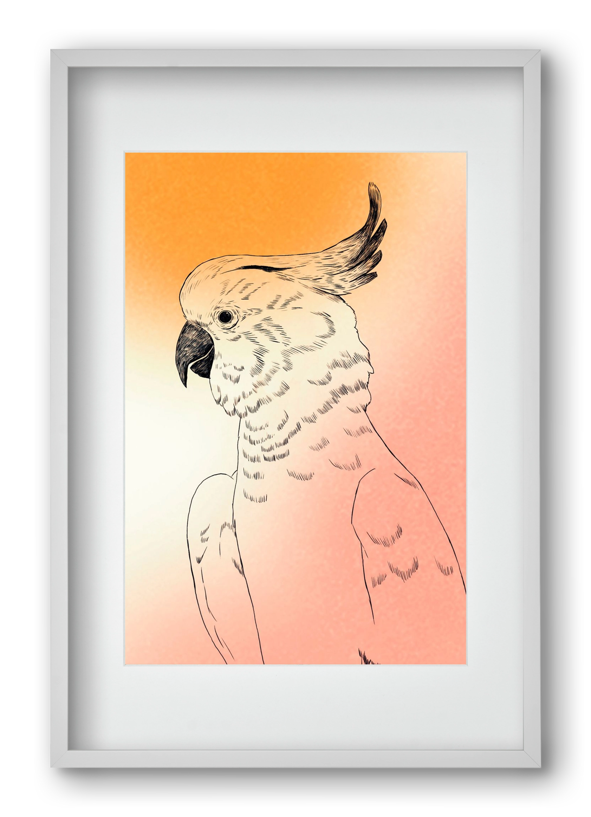 Kakadu, 40x60 cm (30x45 cm), Fehér keret, paszpartuval