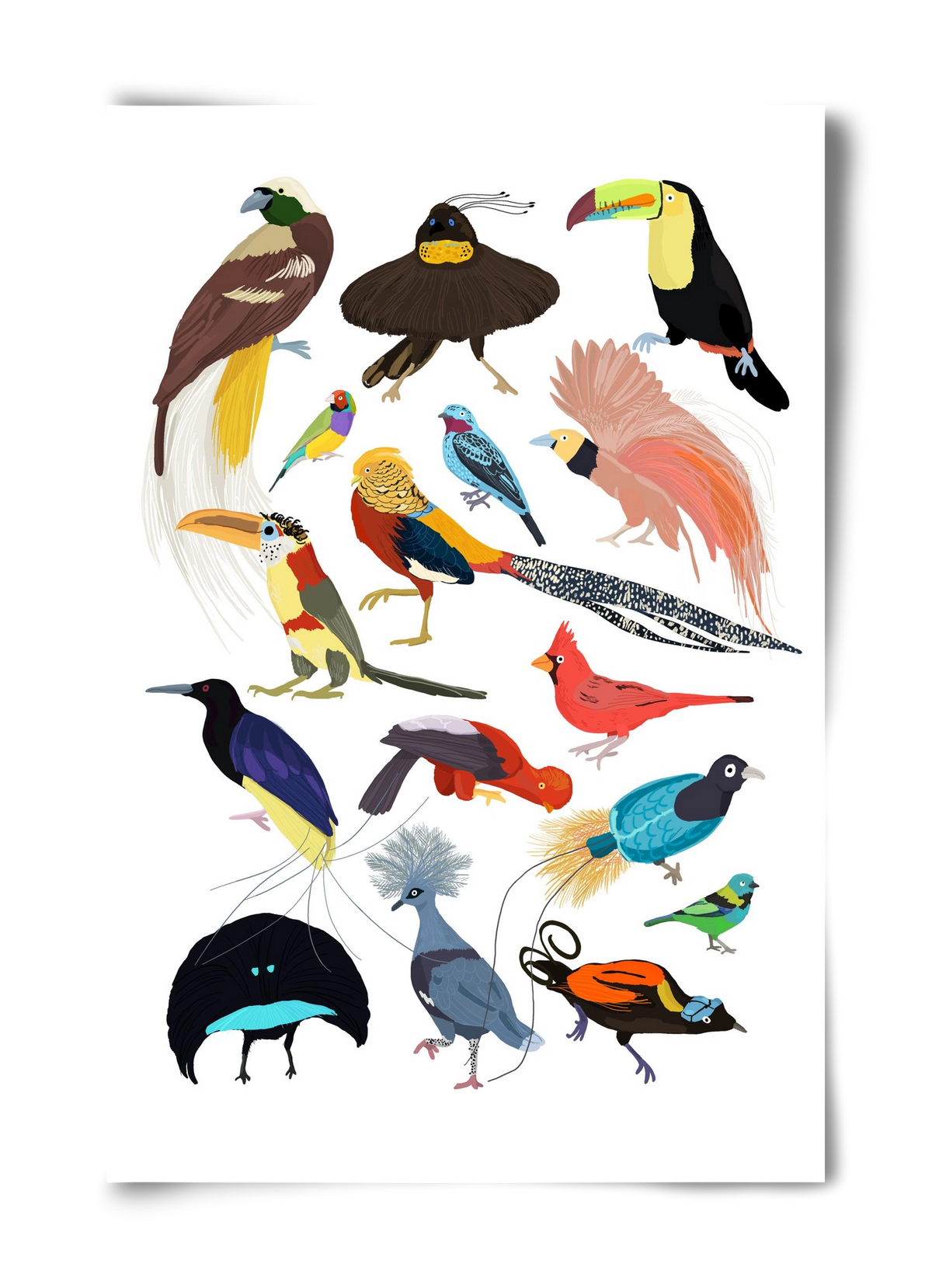 Birds of Prey, 40x60 cm, Keret nélkül