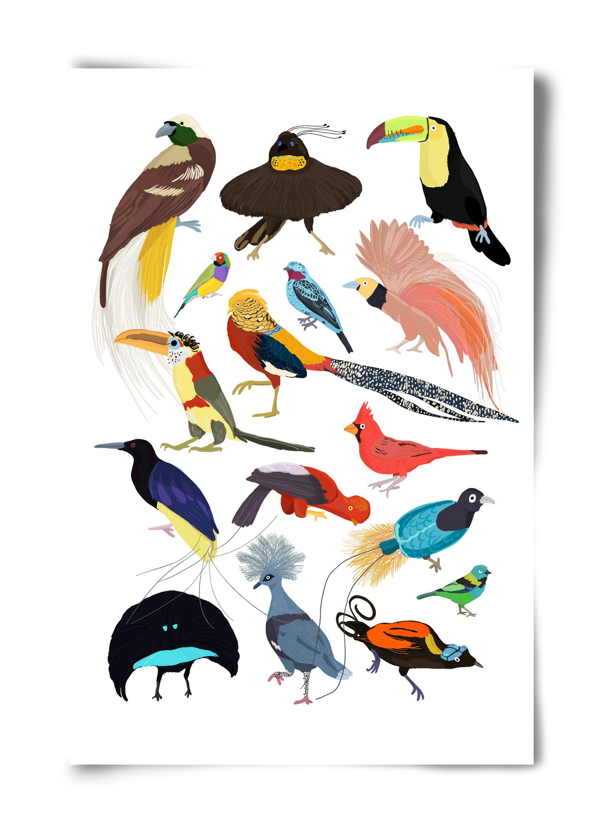 Birds of Prey, 40x60 cm, Keret nélkül