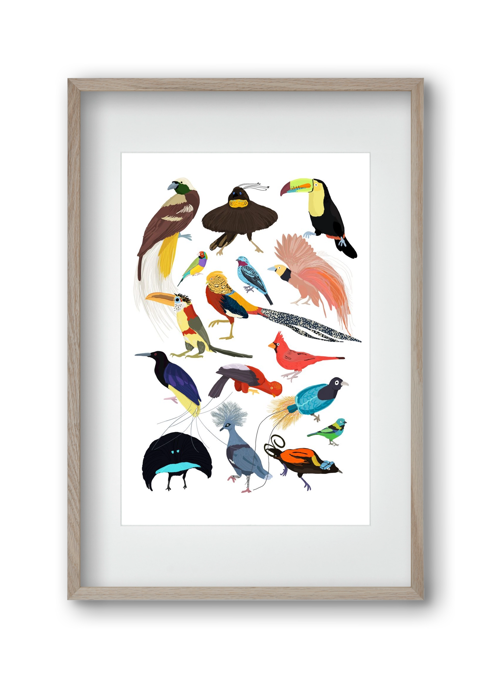 Birds of Prey, 30x45 cm (20x30 cm), Tölgy keret, paszpartuval