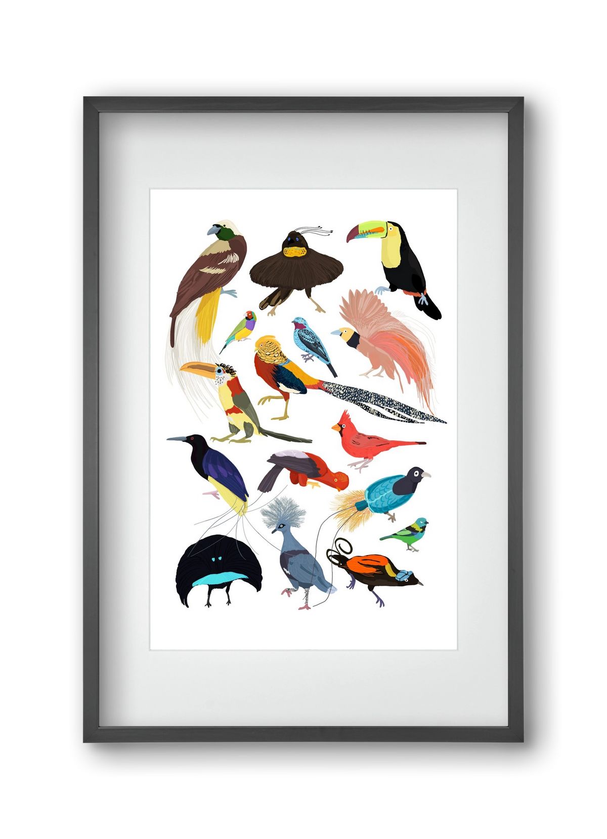 Birds of Prey, 30x45 cm (20x30 cm), Fekete keret, paszpartuval