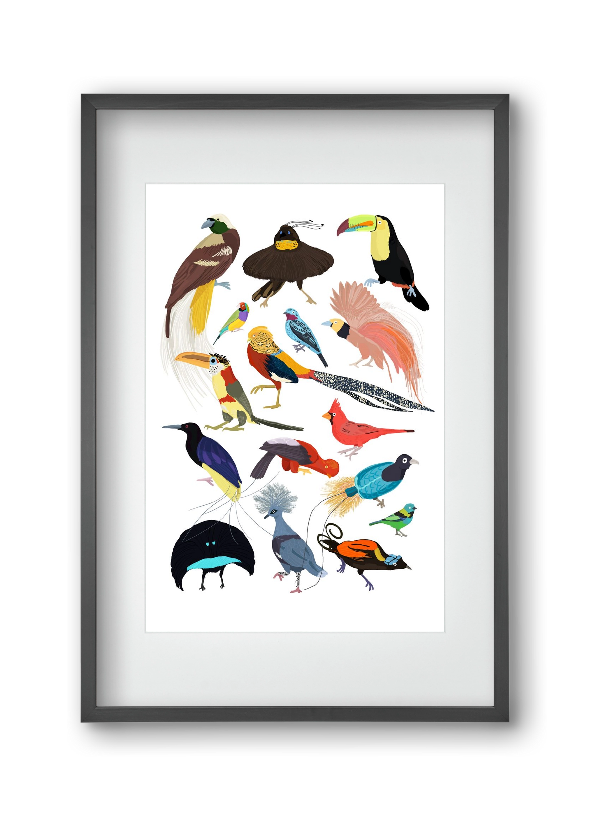 Birds of Prey, 30x45 cm (20x30 cm), Fekete keret, paszpartuval