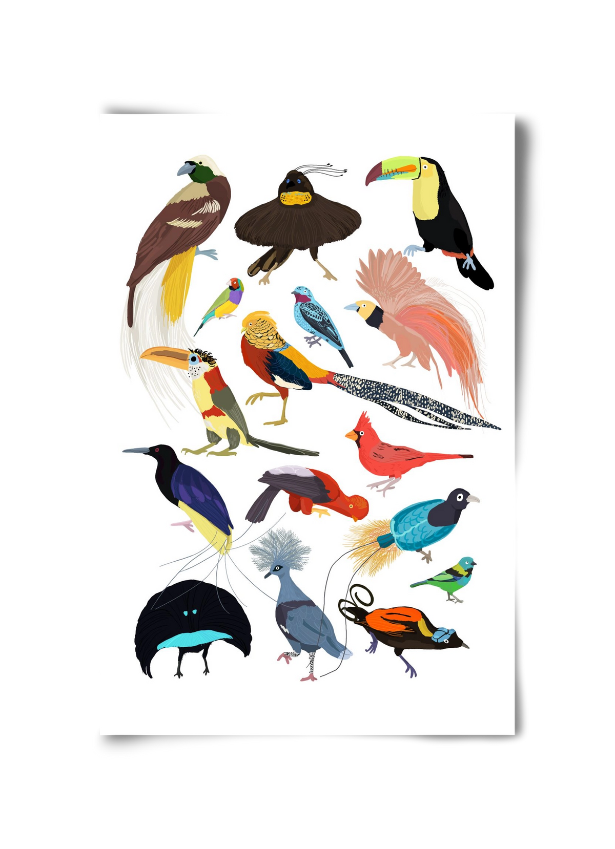 Birds of Prey, 30x45 cm, Keret nélkül