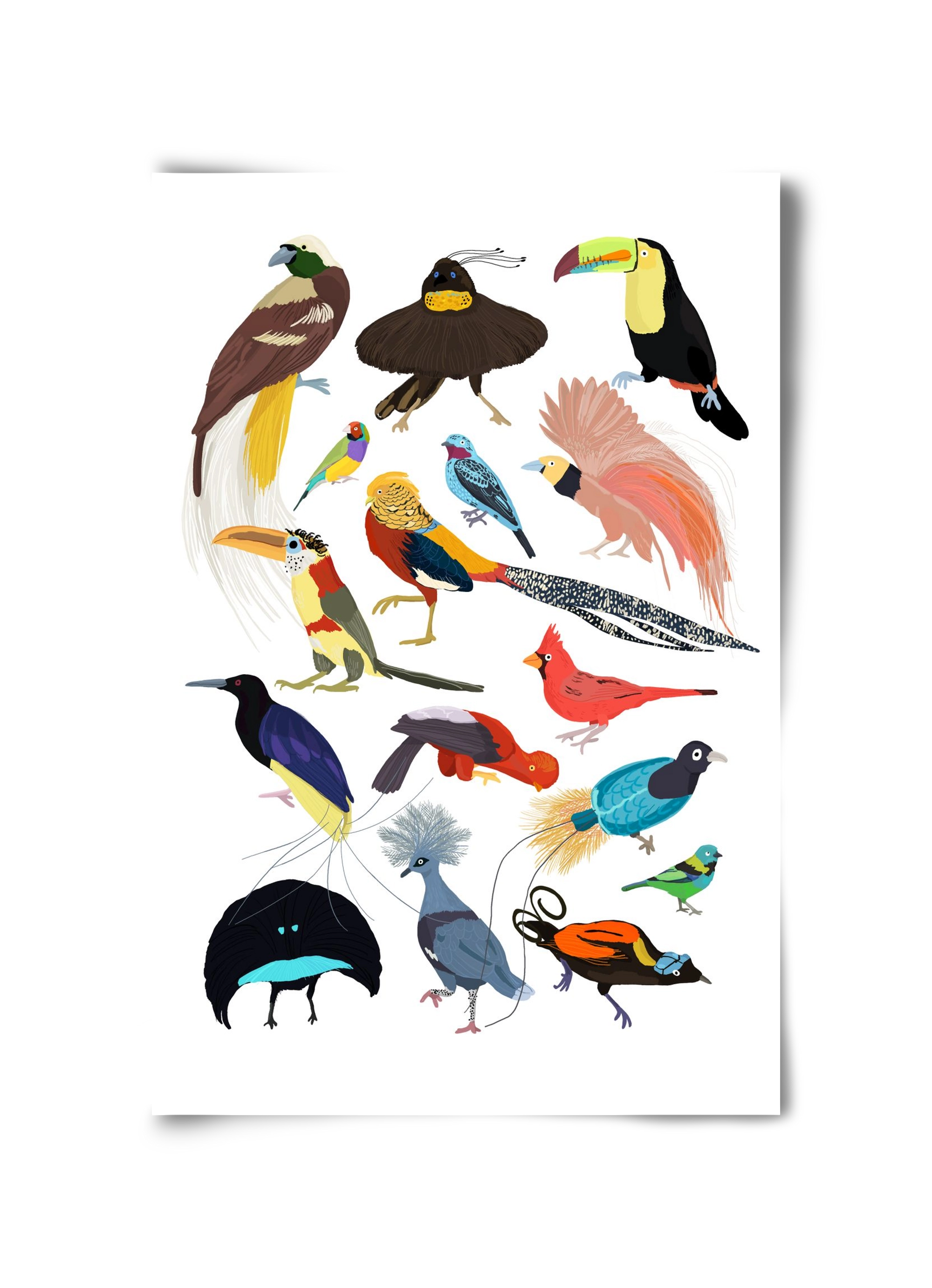 Birds of Prey, 30x45 cm, Keret nélkül