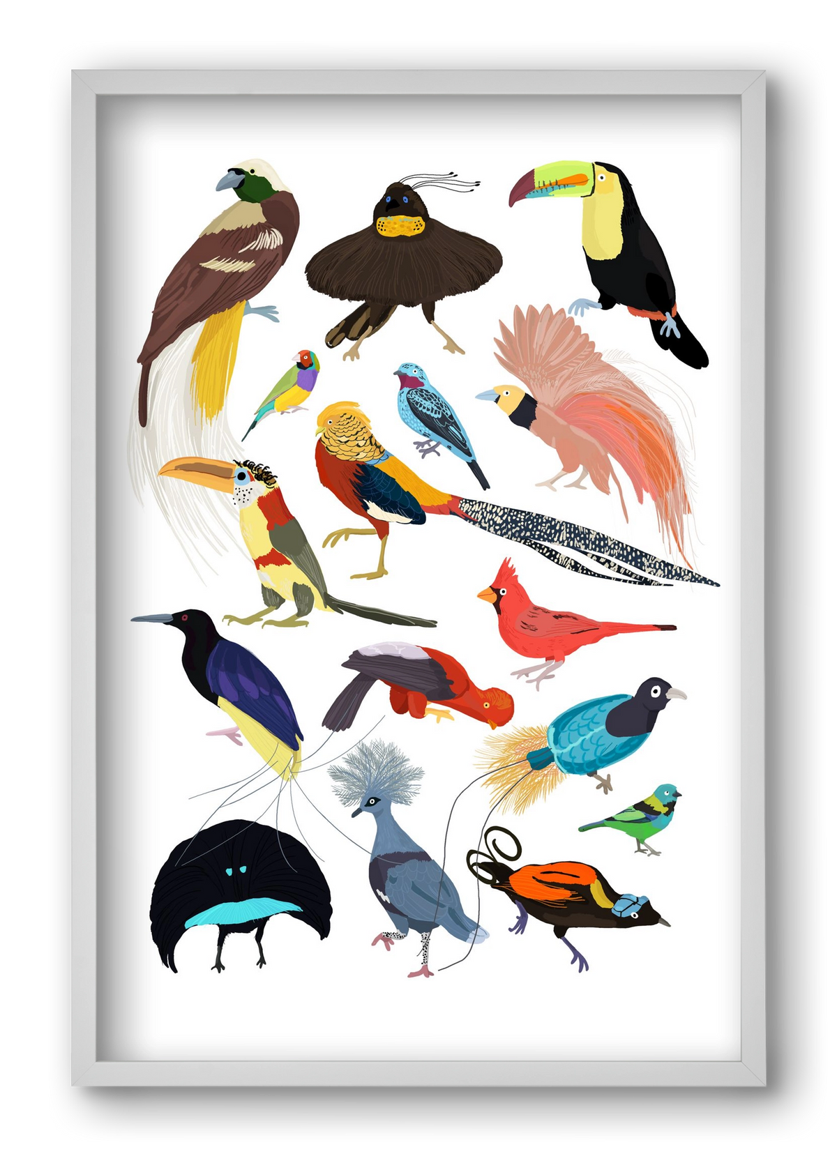 Birds of Prey, 40x60 cm (40x60 cm), Fehér keret