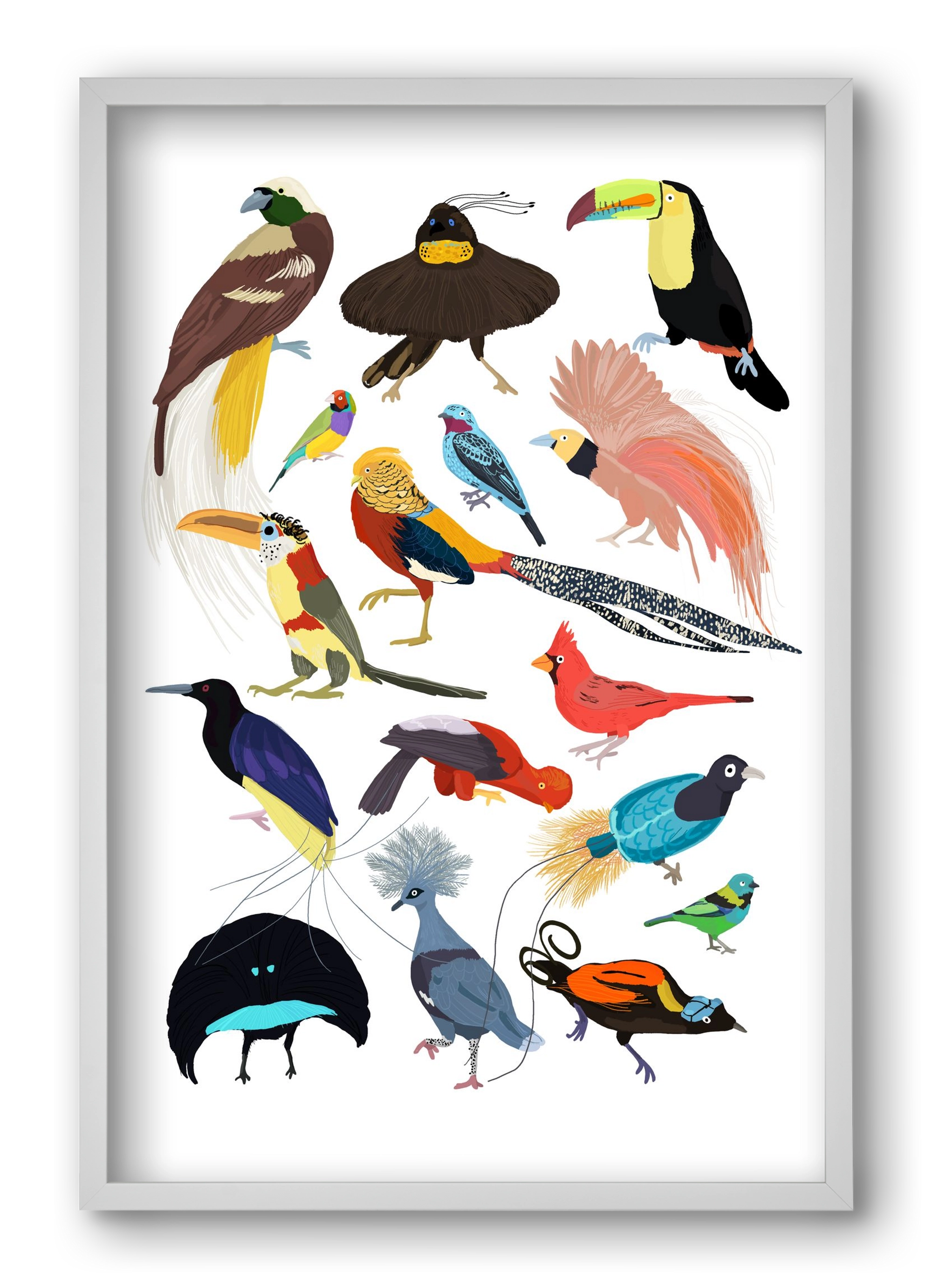 Birds of Prey, 40x60 cm (40x60 cm), Fehér keret