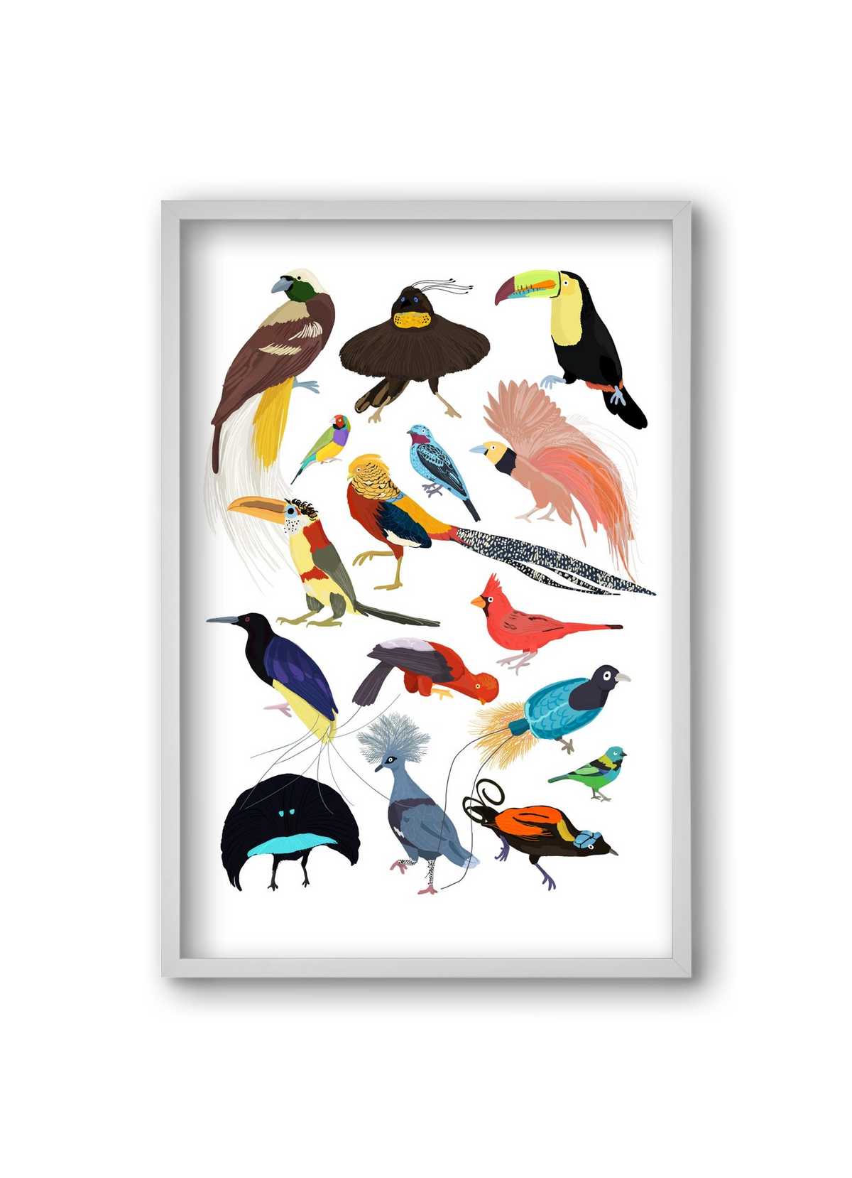 Birds of Prey, 20x30 cm (20x30 cm), Fehér keret