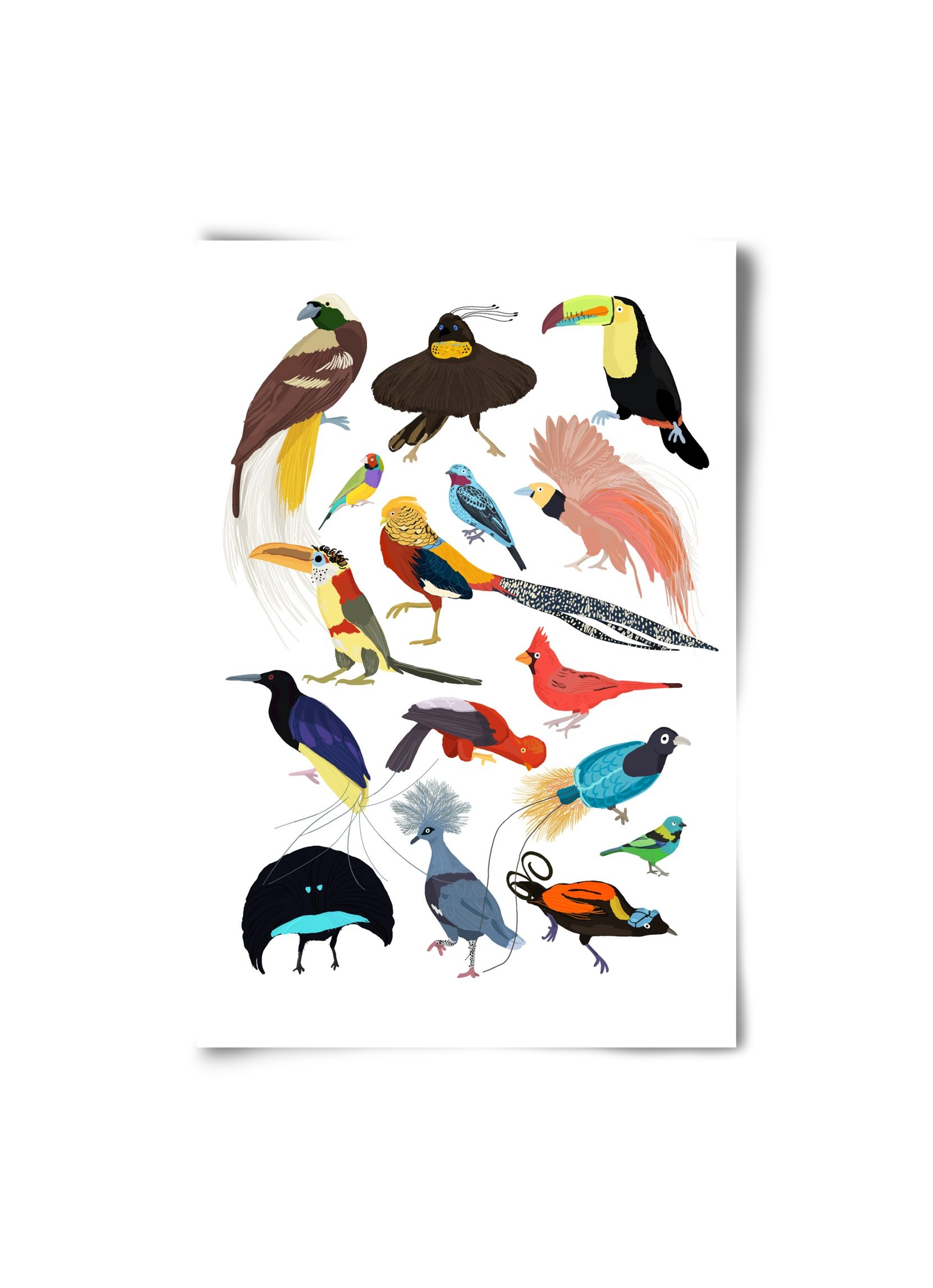 Birds of Prey, 20x30 cm, Keret nélkül