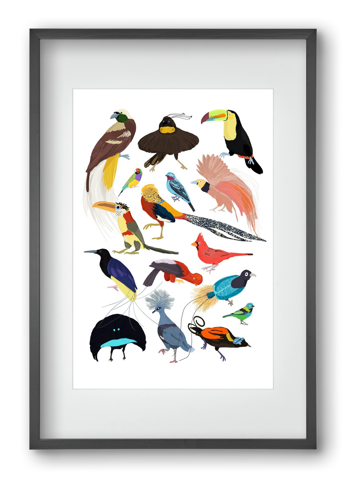 Birds of Prey, 40x60 cm (30x45 cm), Fekete keret, paszpartuval