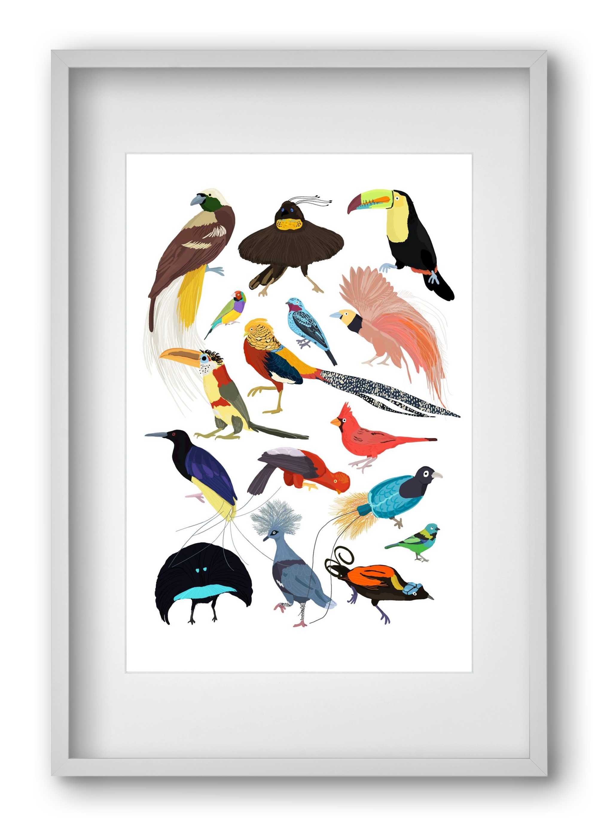 Birds of Prey, 40x60 cm (30x45 cm), Fehér keret, paszpartuval