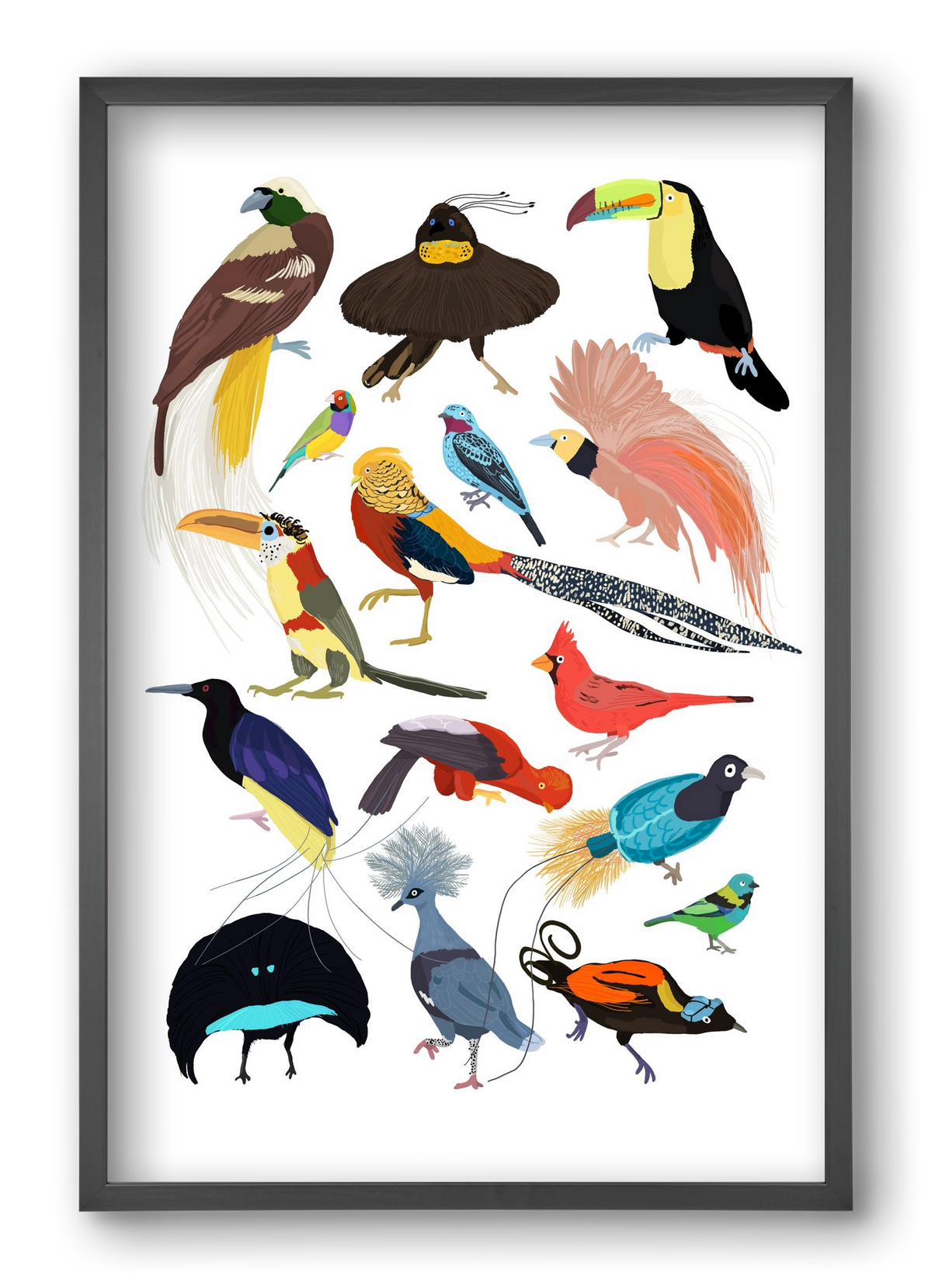 Birds of Prey, 40x60 cm (40x60 cm), Fekete keret