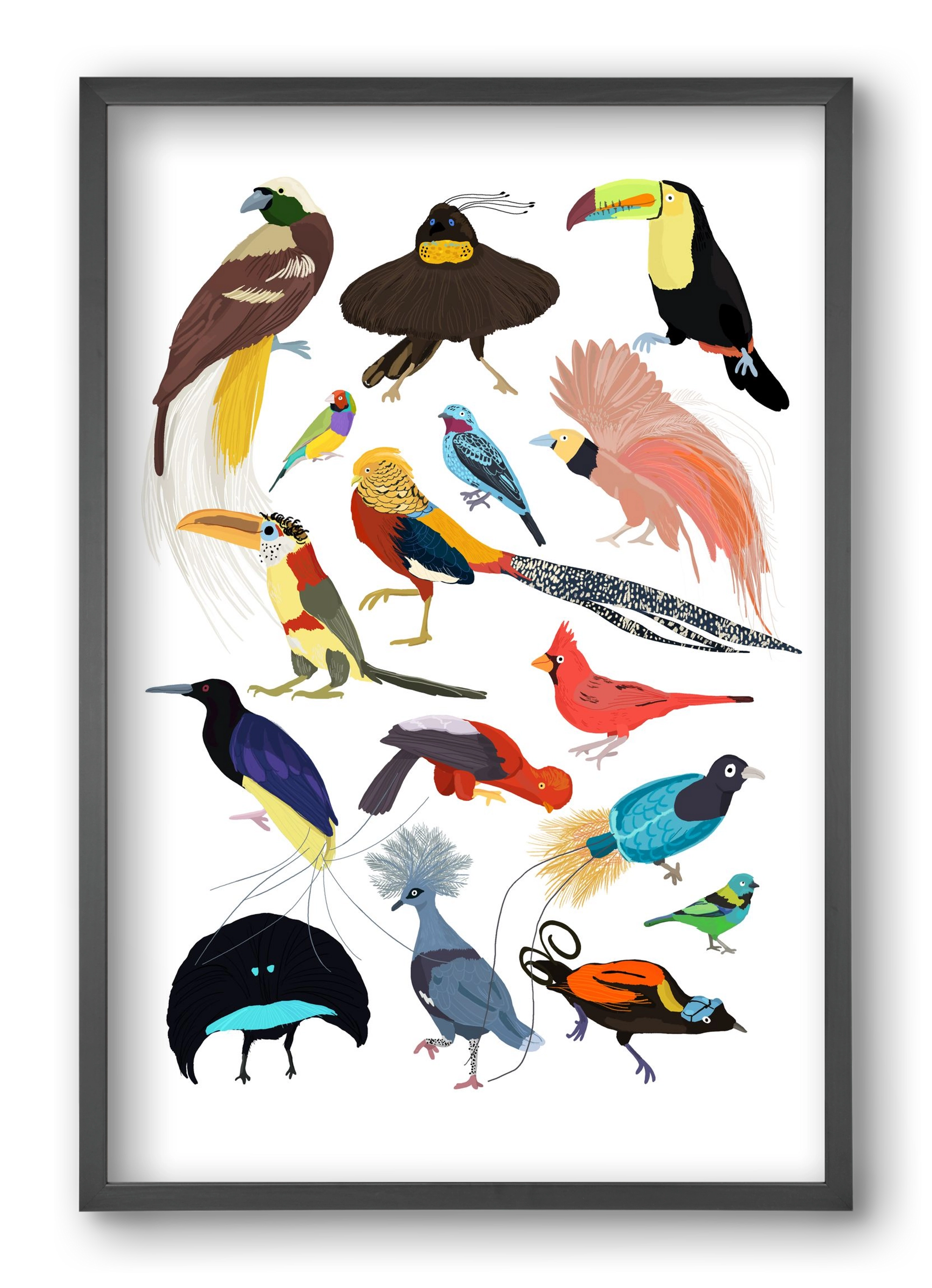 Birds of Prey, 40x60 cm (40x60 cm), Fekete keret