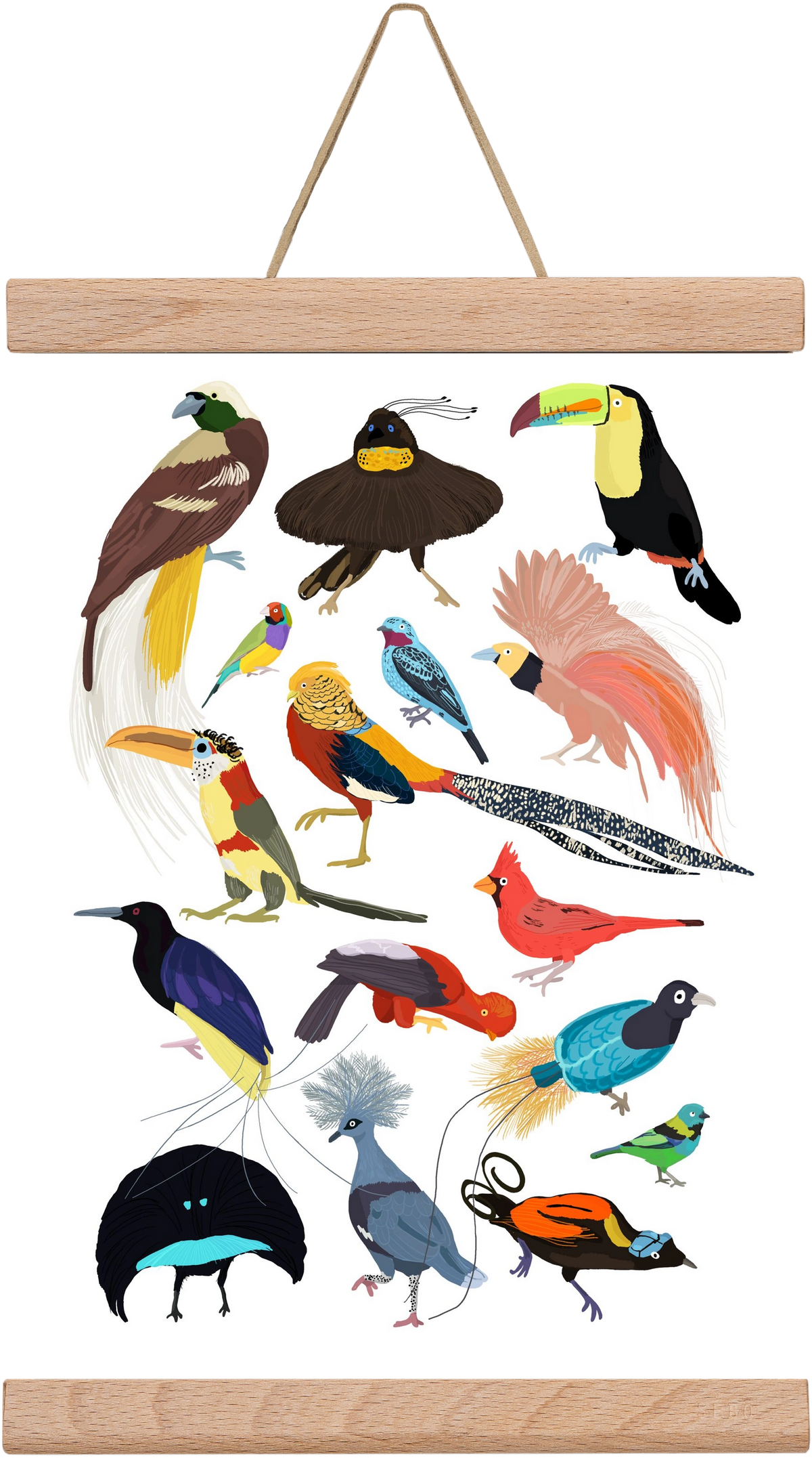 Birds of Prey, 20x30 cm (20x30 cm), Tölgy akasztó