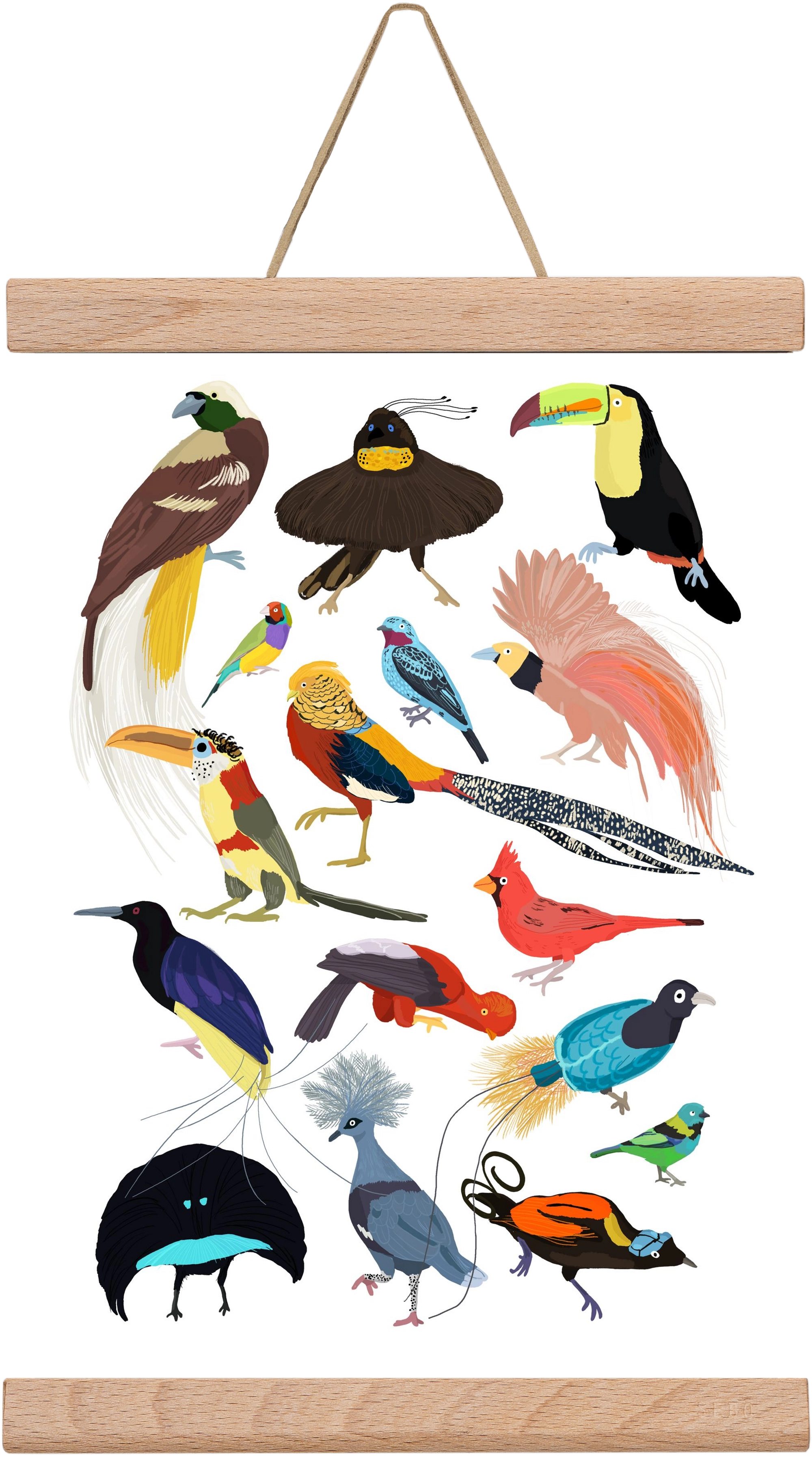 Birds of Prey, 20x30 cm (20x30 cm), Tölgy akasztó