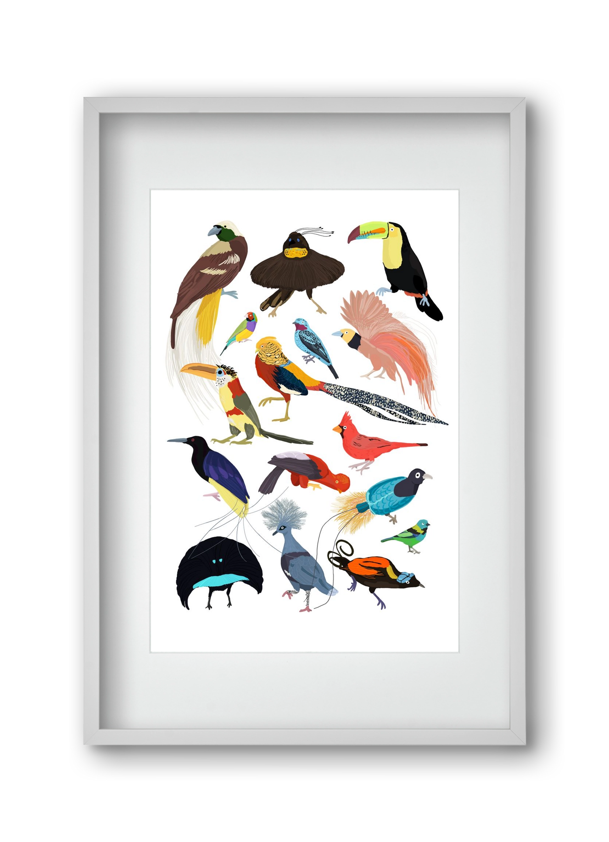 Birds of Prey, 30x45 cm (20x30 cm), Fehér keret, paszpartuval