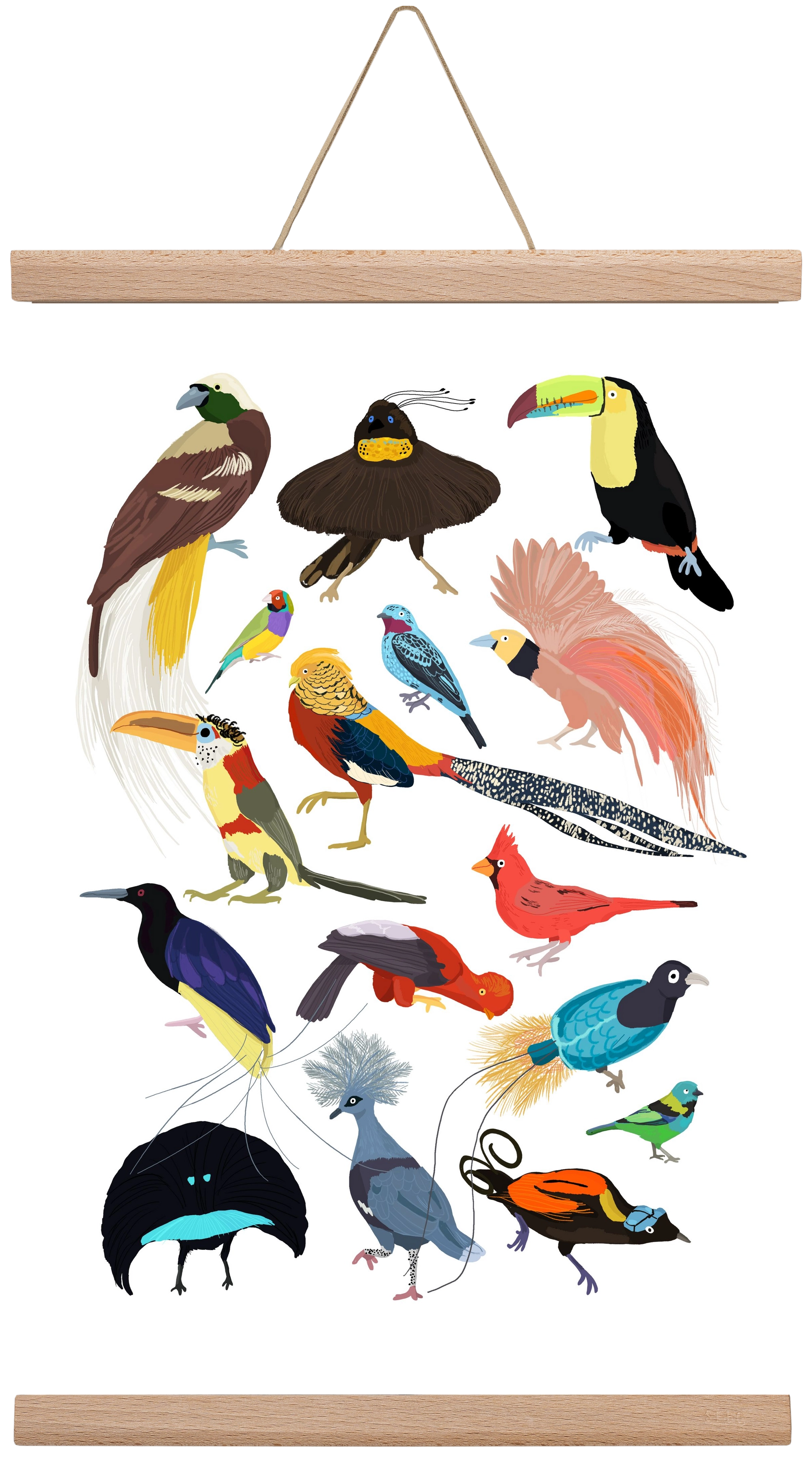 Birds of Prey, 30x45 cm (30x45 cm), Tölgy akasztó