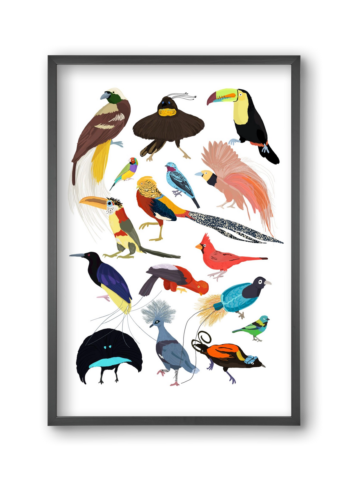 Birds of Prey, 30x45 cm (30x45 cm), Fekete keret