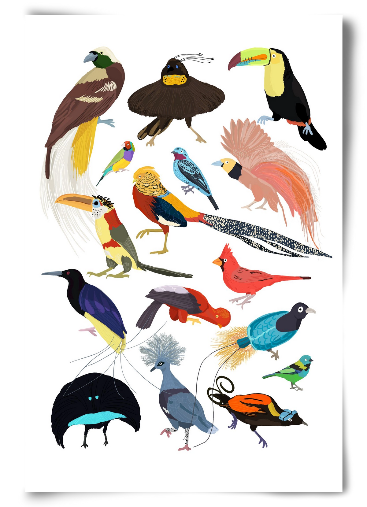 Birds of Prey, 60x90 cm, Keret nélkül