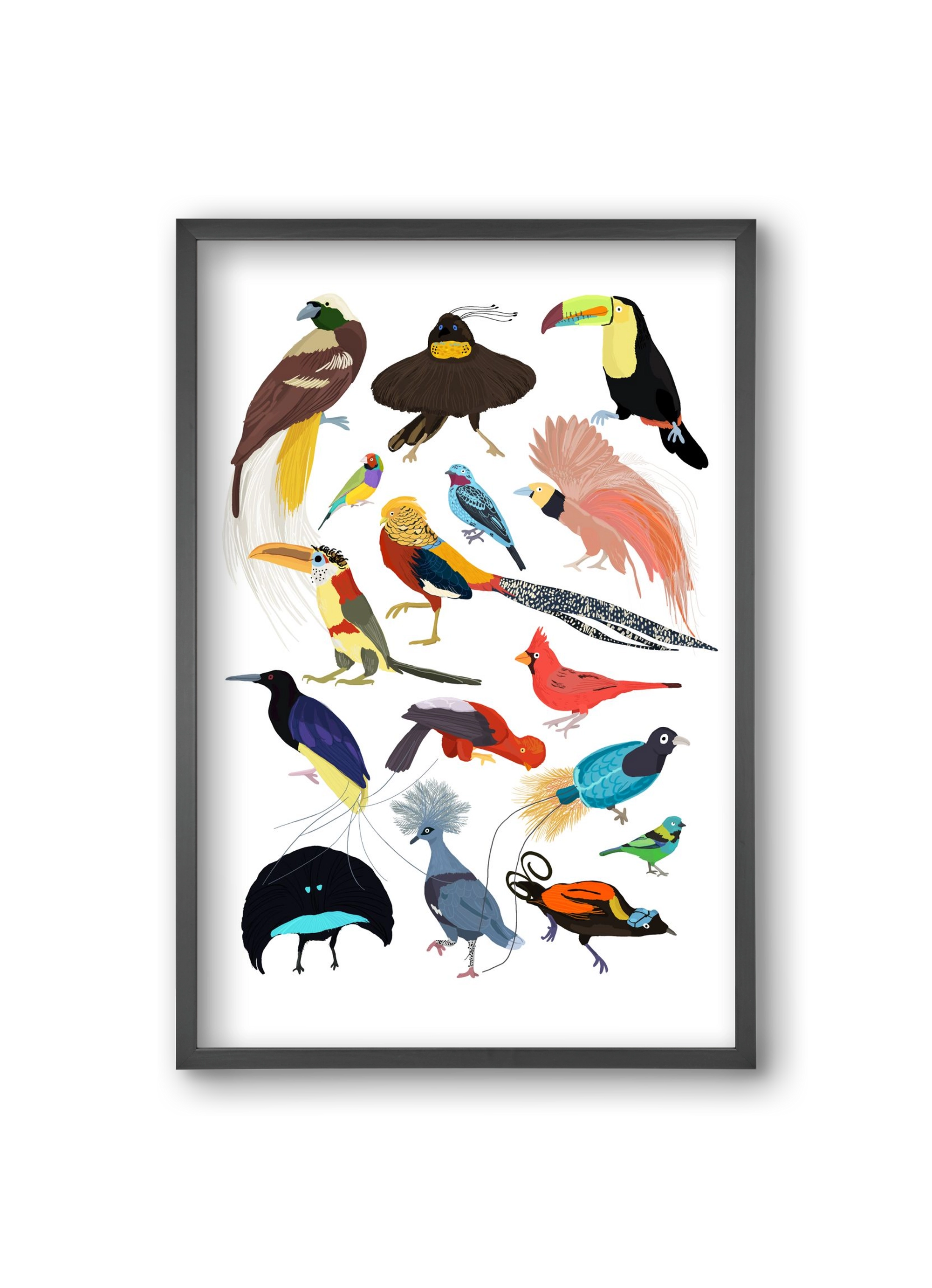 Birds of Prey, 20x30 cm (20x30 cm), Fekete keret