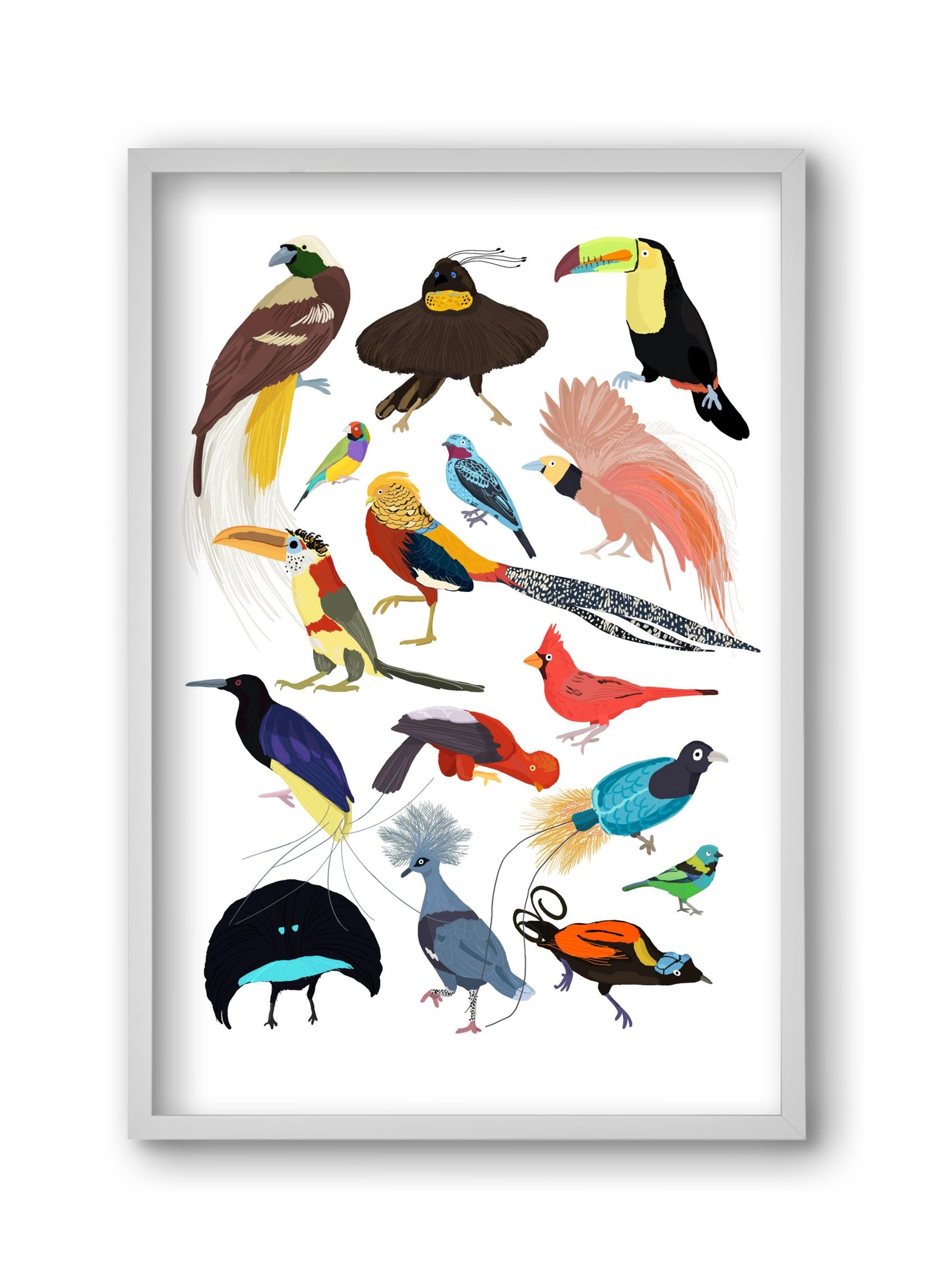 Birds of Prey, 30x45 cm (30x45 cm), Fehér keret