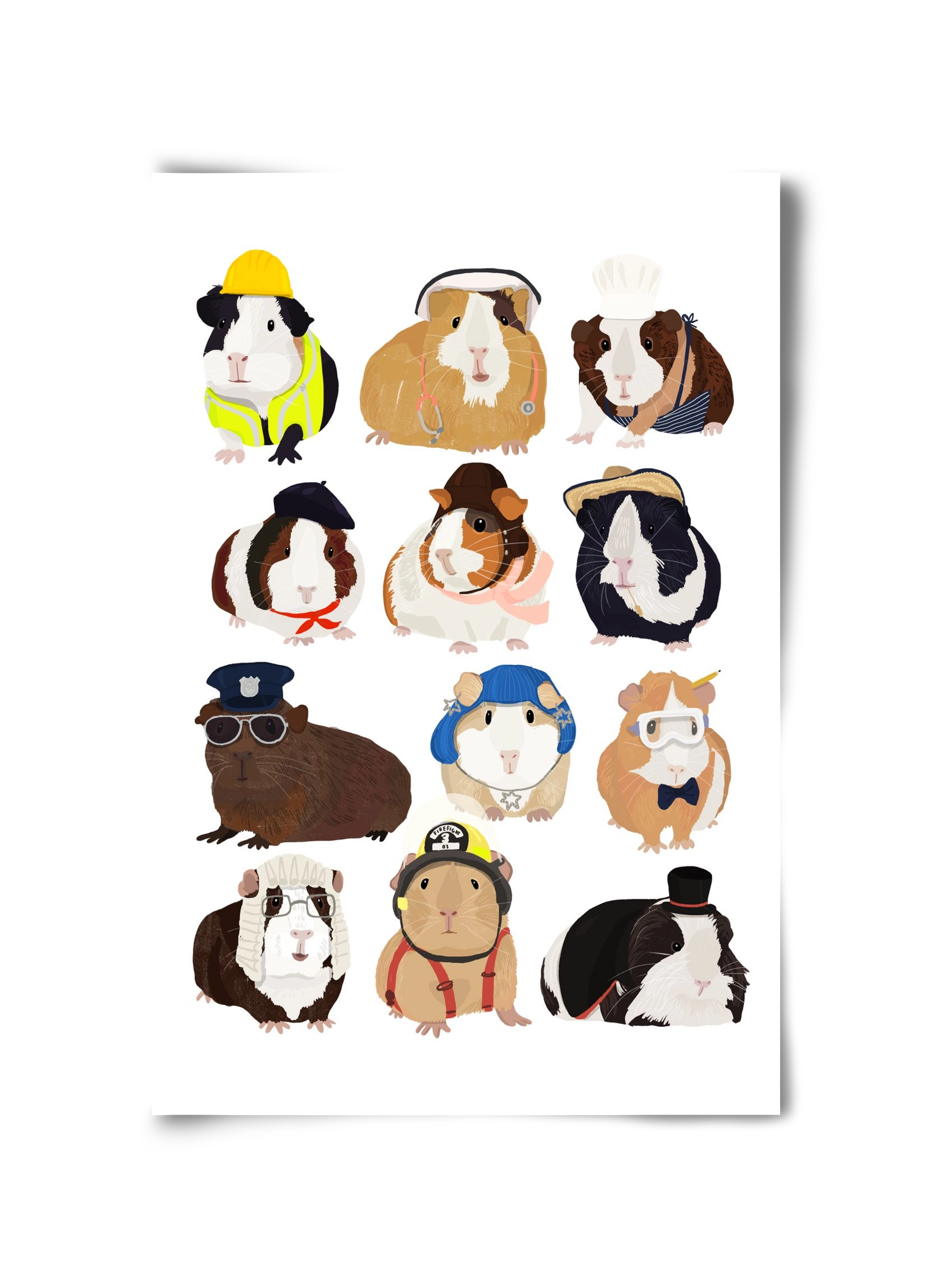 Working Guinea Pig, 30x45 cm, Keret nélkül