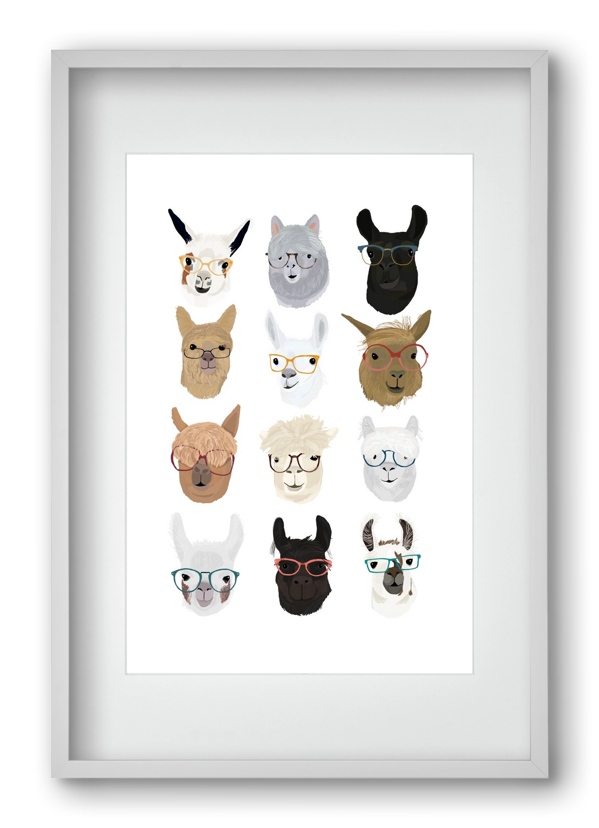 Llamas in Glasses, 40x60 cm (30x45 cm), Fehér keret, paszpartuval