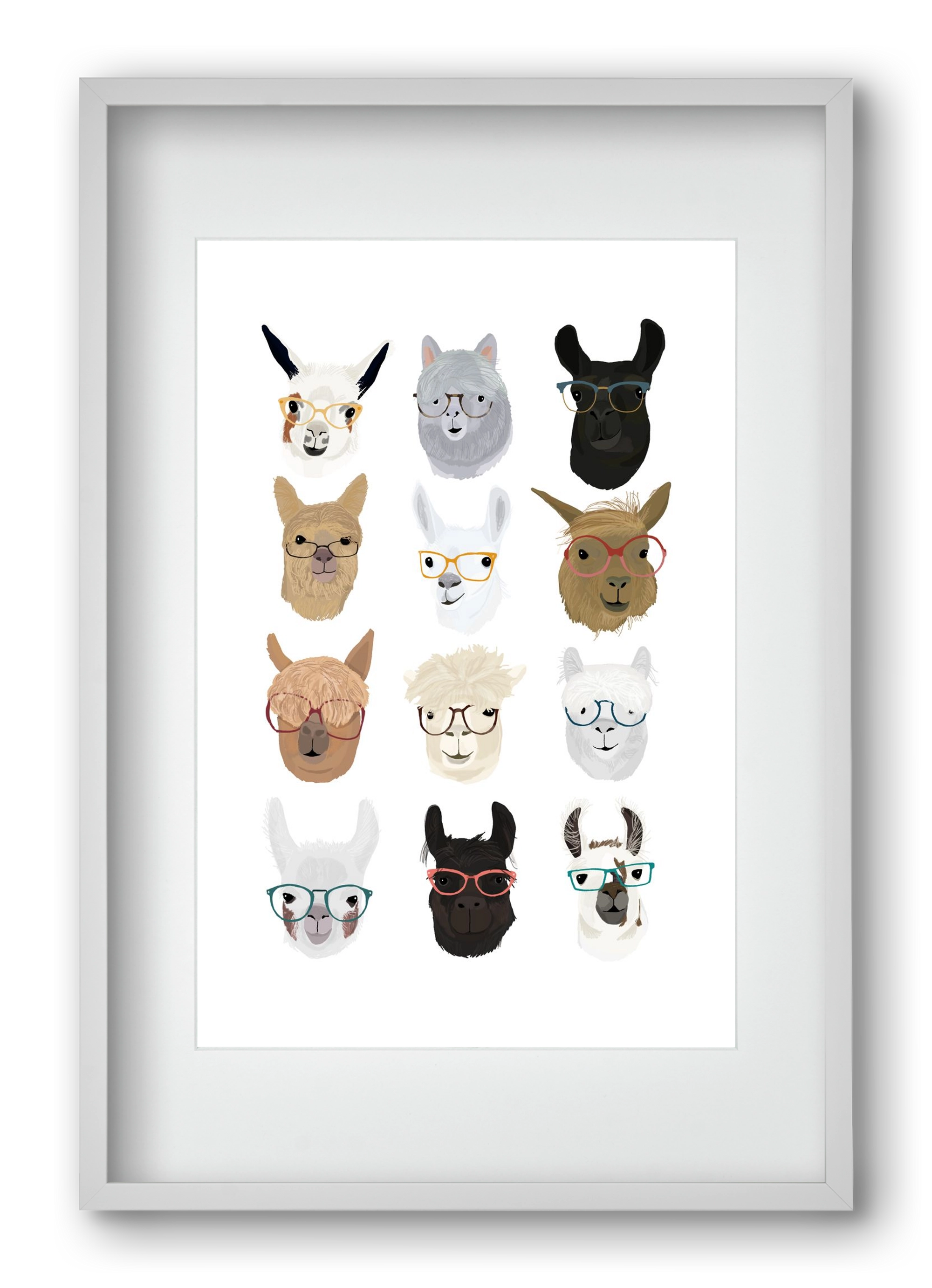 Llamas in Glasses, 40x60 cm (30x45 cm), Fehér keret, paszpartuval