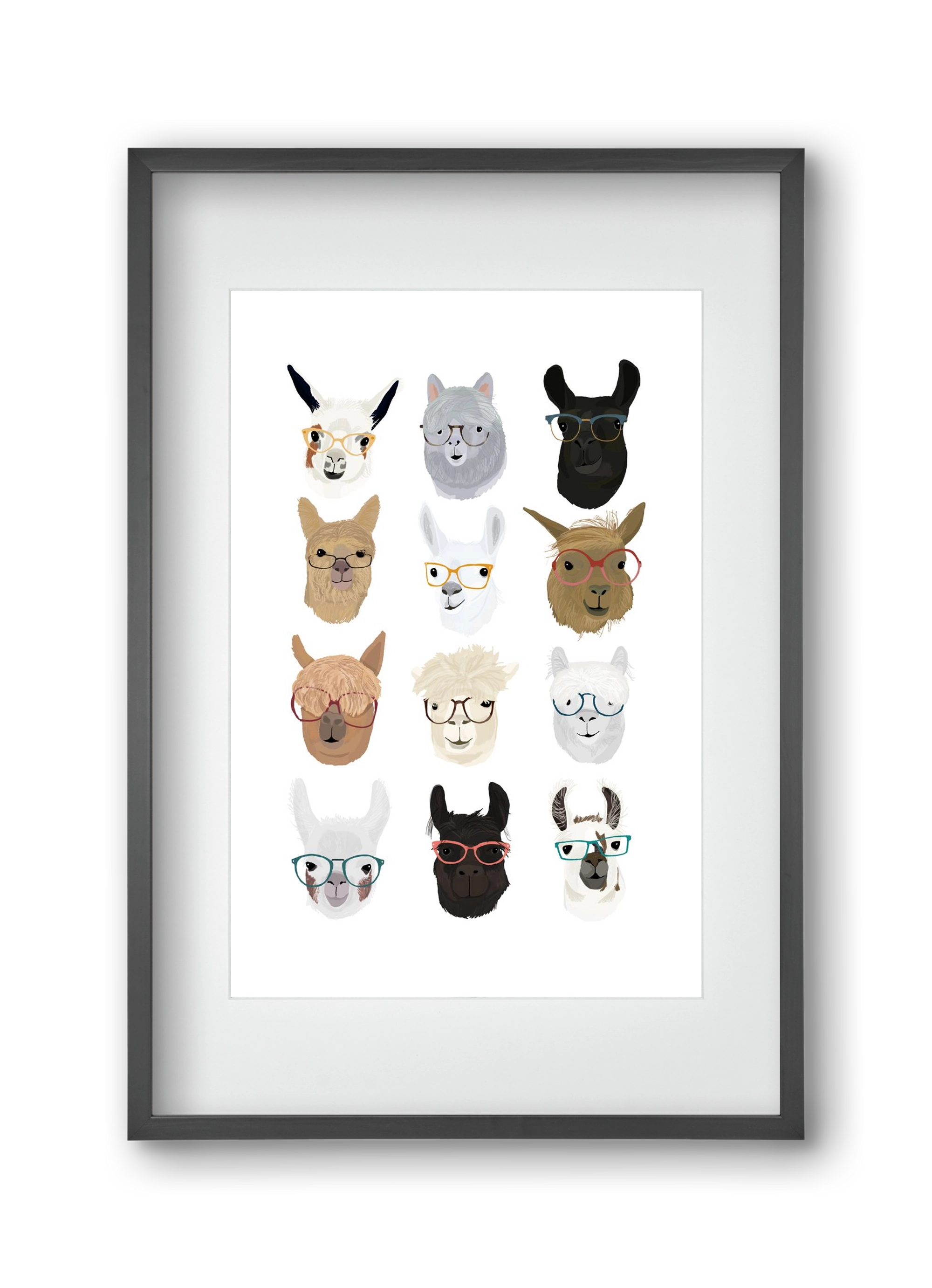 Llamas in Glasses, 30x45 cm (20x30 cm), Fekete keret, paszpartuval