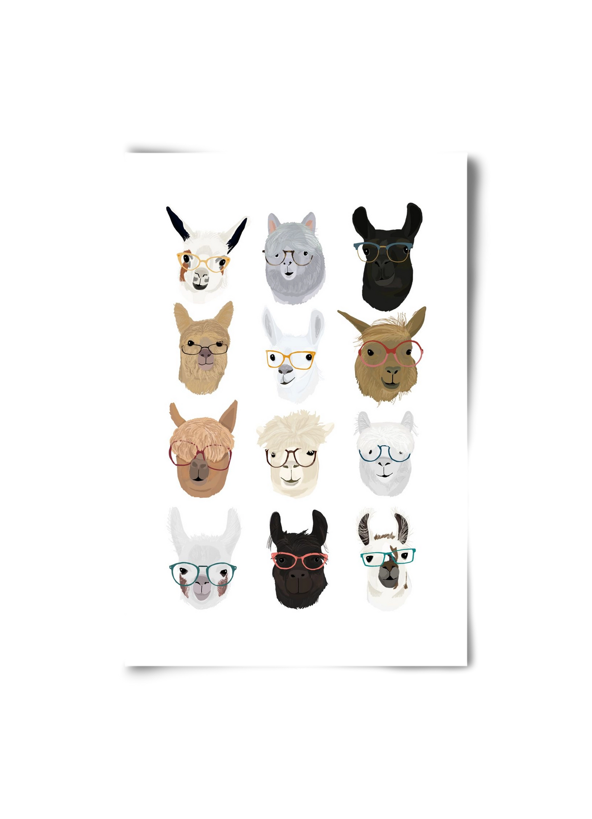Llamas in Glasses, 20x30 cm, Keret nélkül