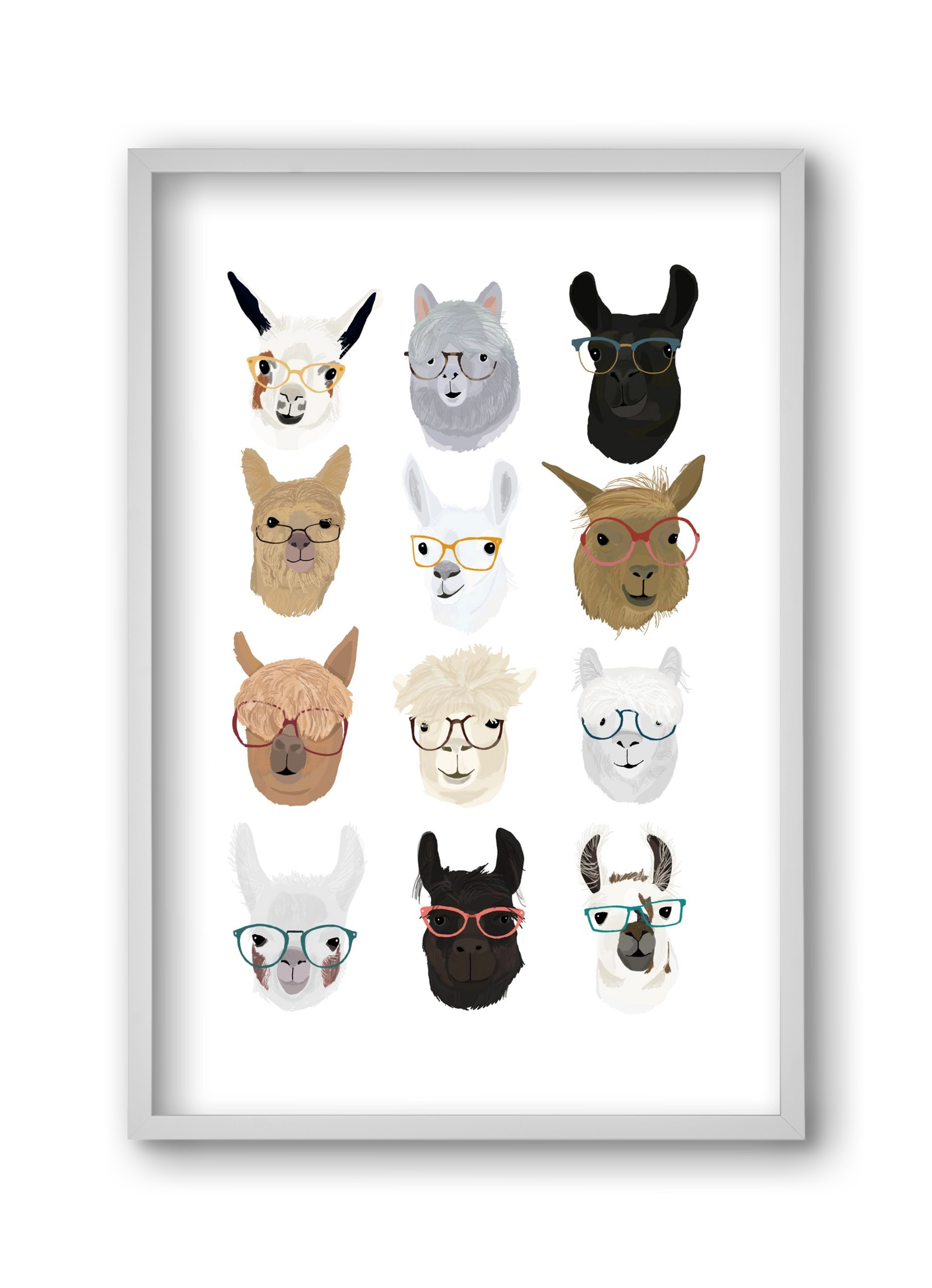 Llamas in Glasses, 30x45 cm (30x45 cm), Fehér keret