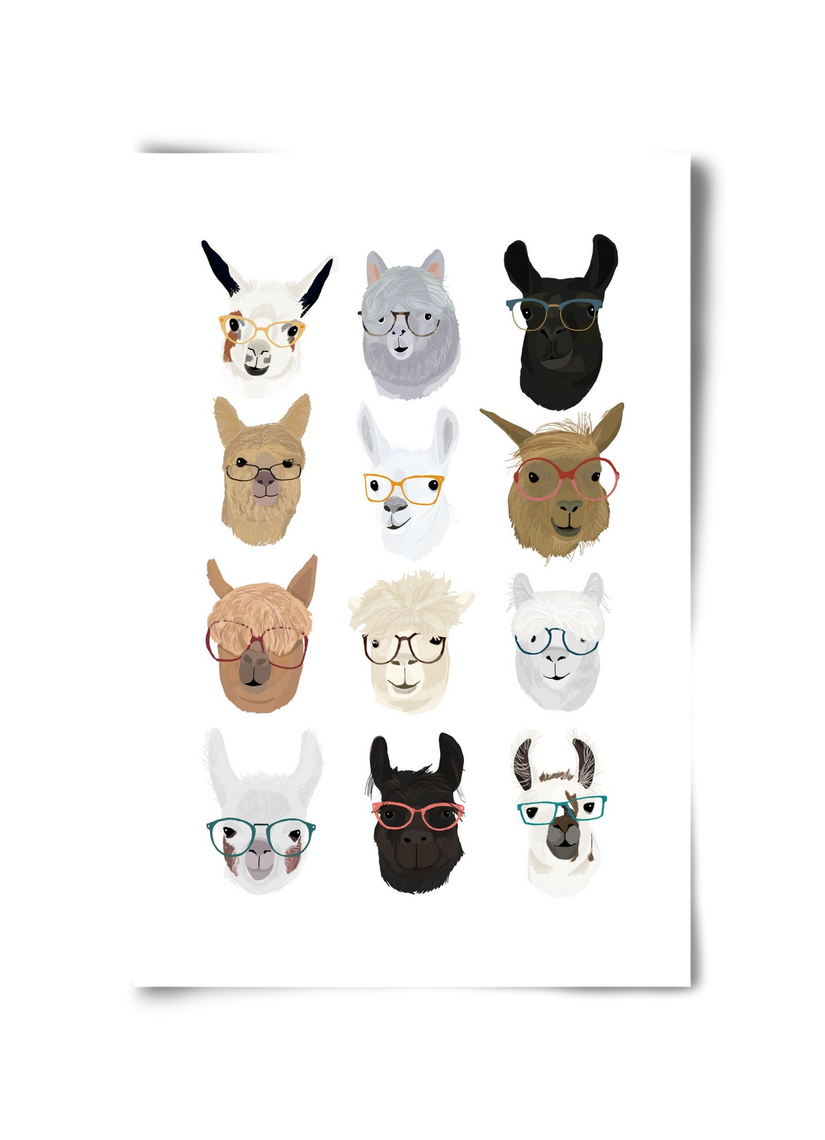 Llamas in Glasses, 30x45 cm, Keret nélkül
