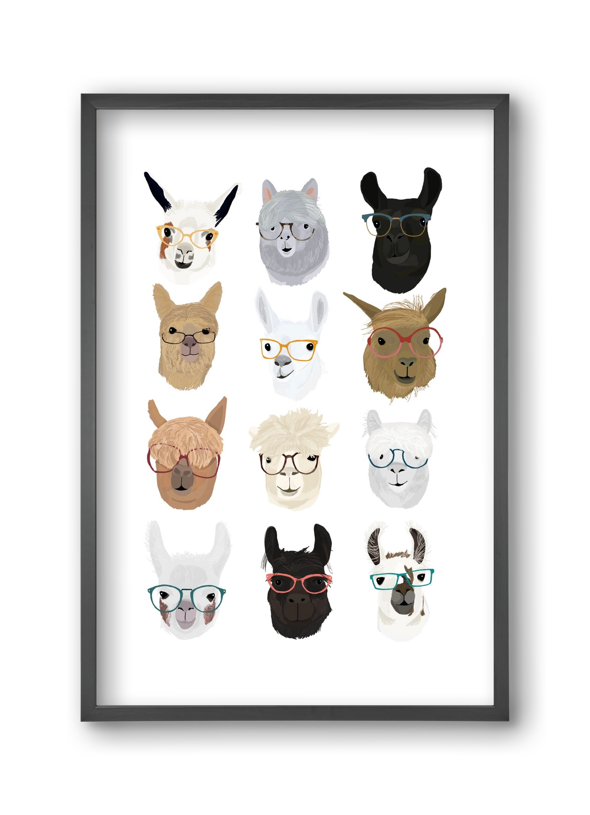 Llamas in Glasses, 30x45 cm (30x45 cm), Fekete keret