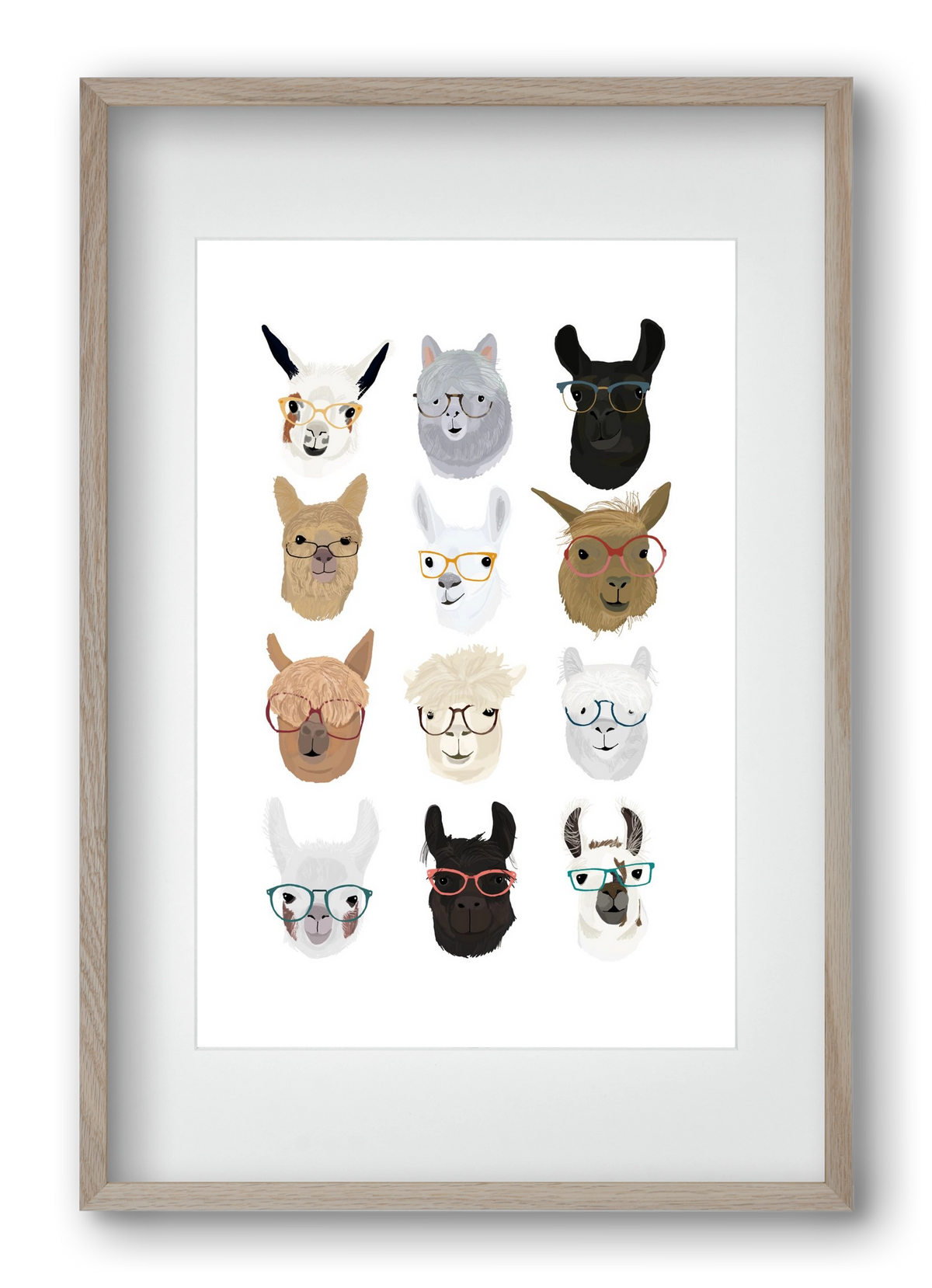 Llamas in Glasses, 40x60 cm (30x45 cm), Tölgy keret, paszpartuval