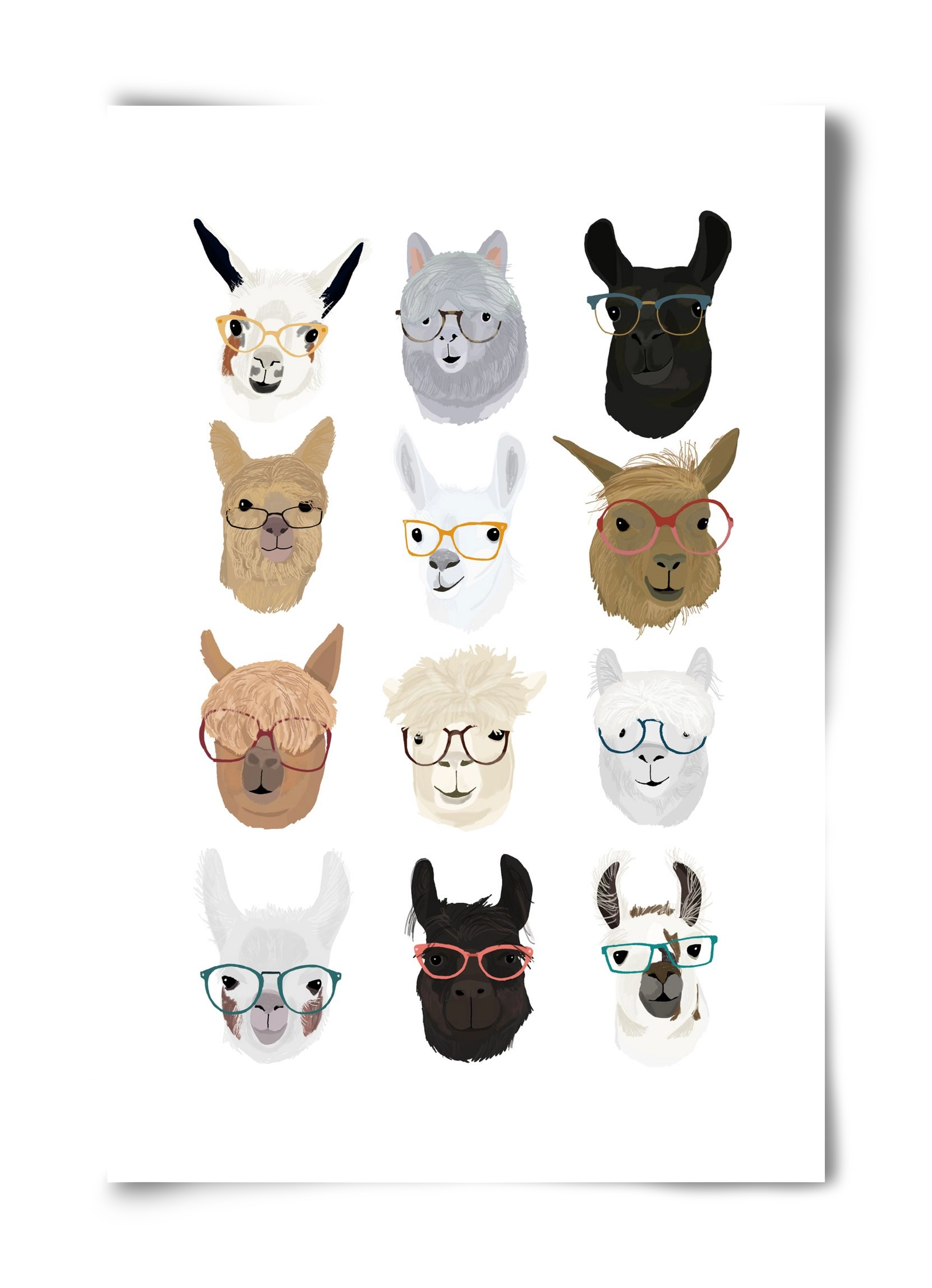 Llamas in Glasses, 40x60 cm, Keret nélkül