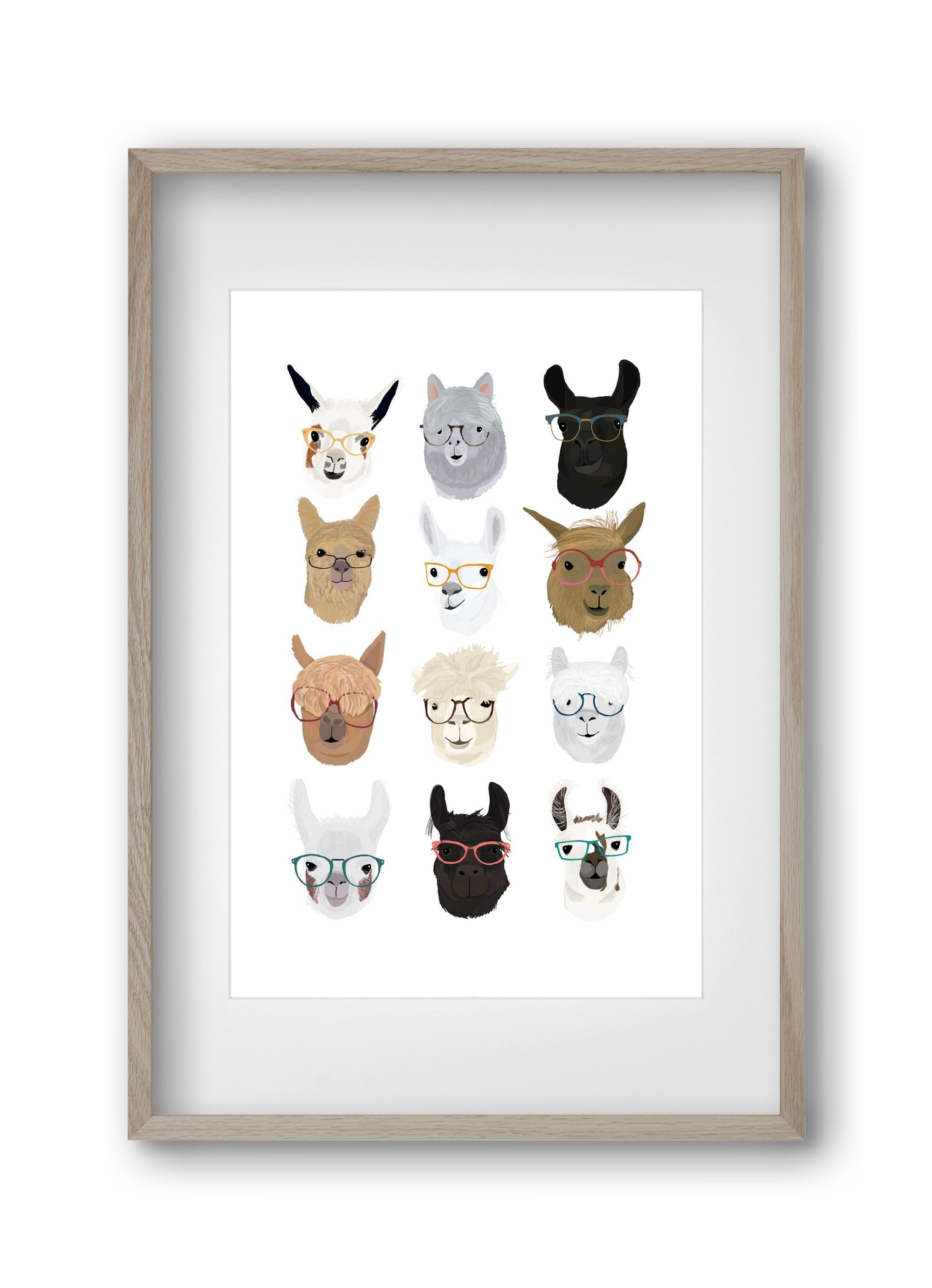 Llamas in Glasses, 30x45 cm (20x30 cm), Tölgy keret, paszpartuval
