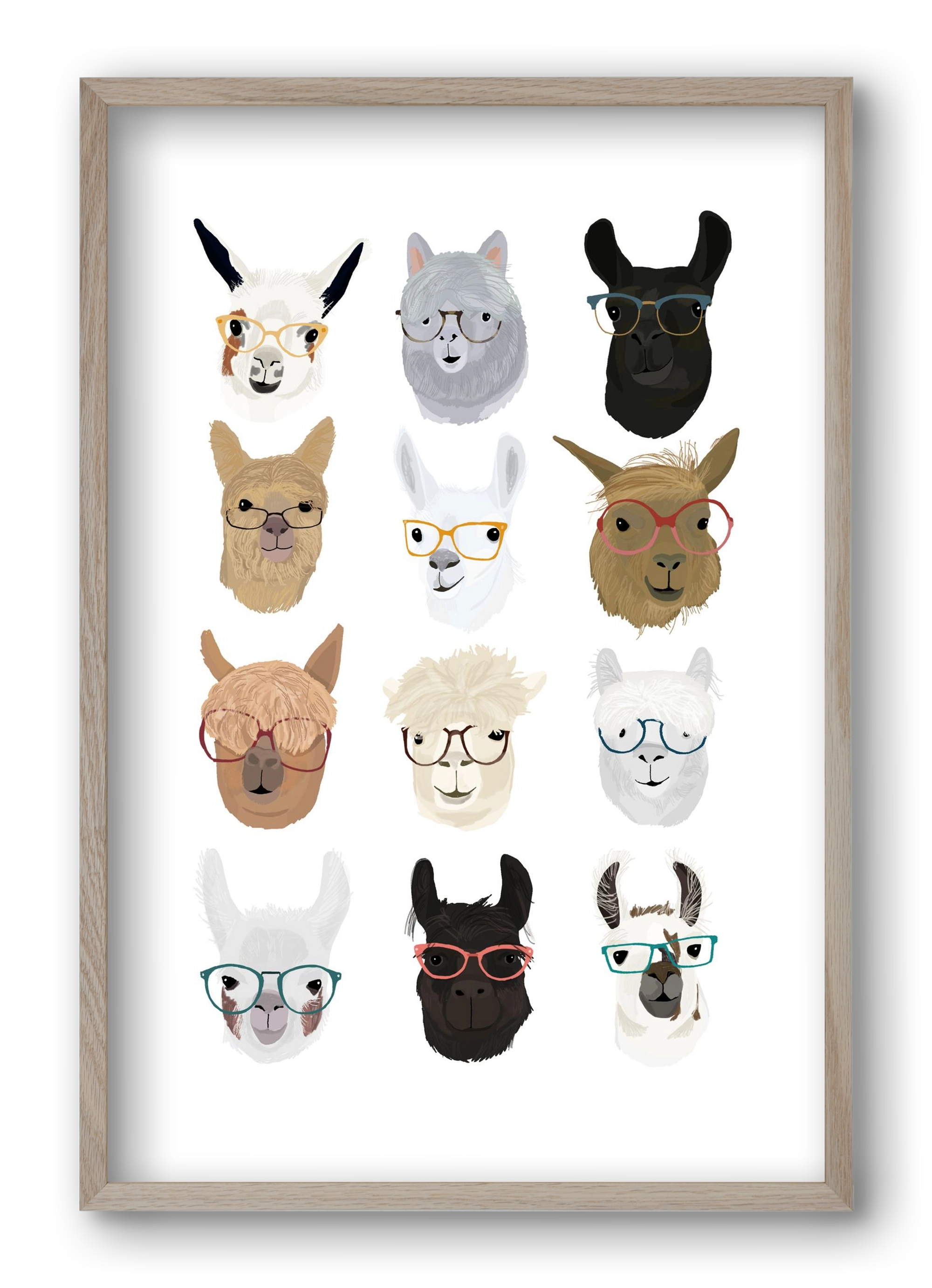 Llamas in Glasses, 40x60 cm (40x60 cm), Tölgy keret