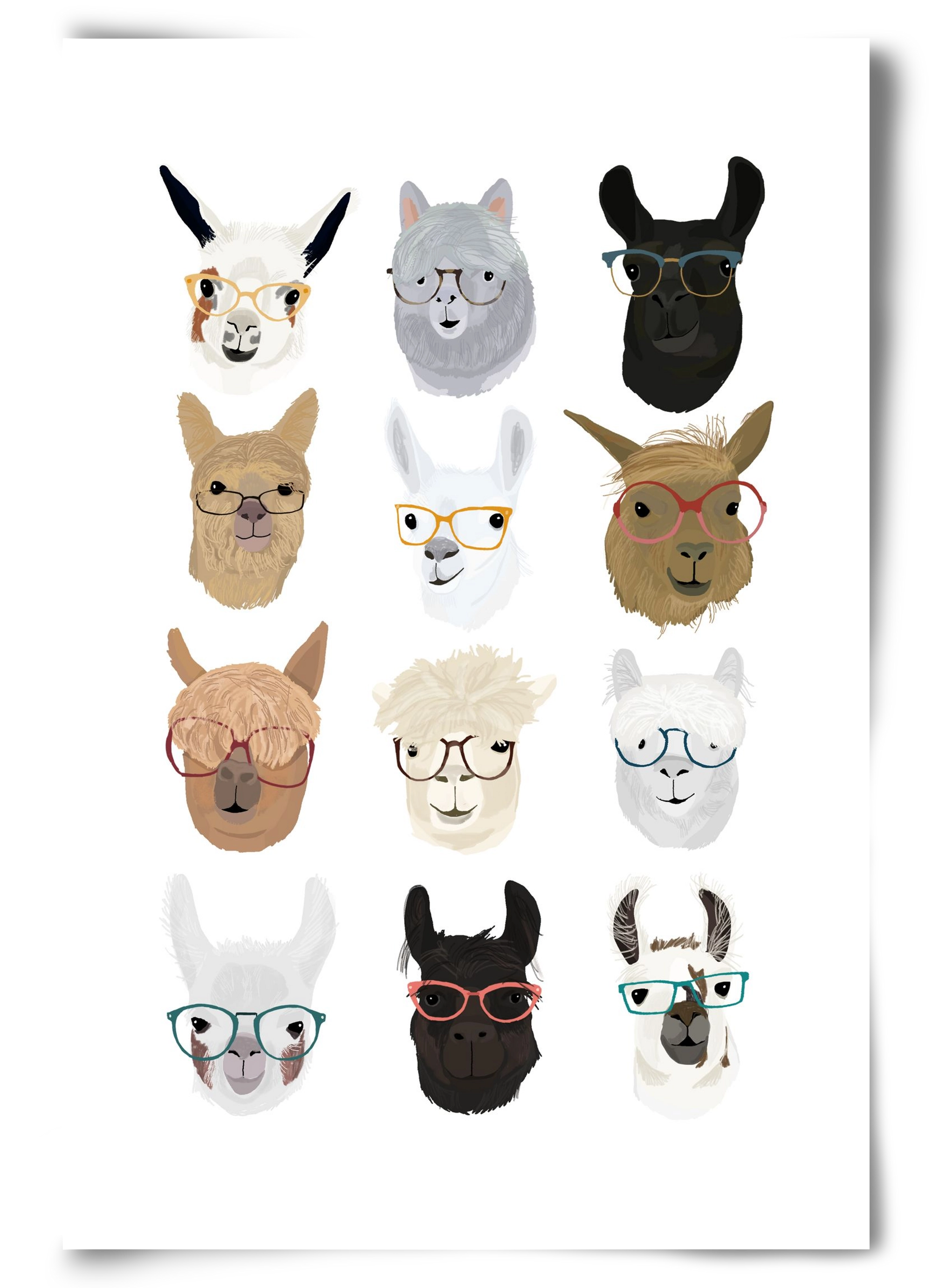 Llamas in Glasses, 60x90 cm, Keret nélkül