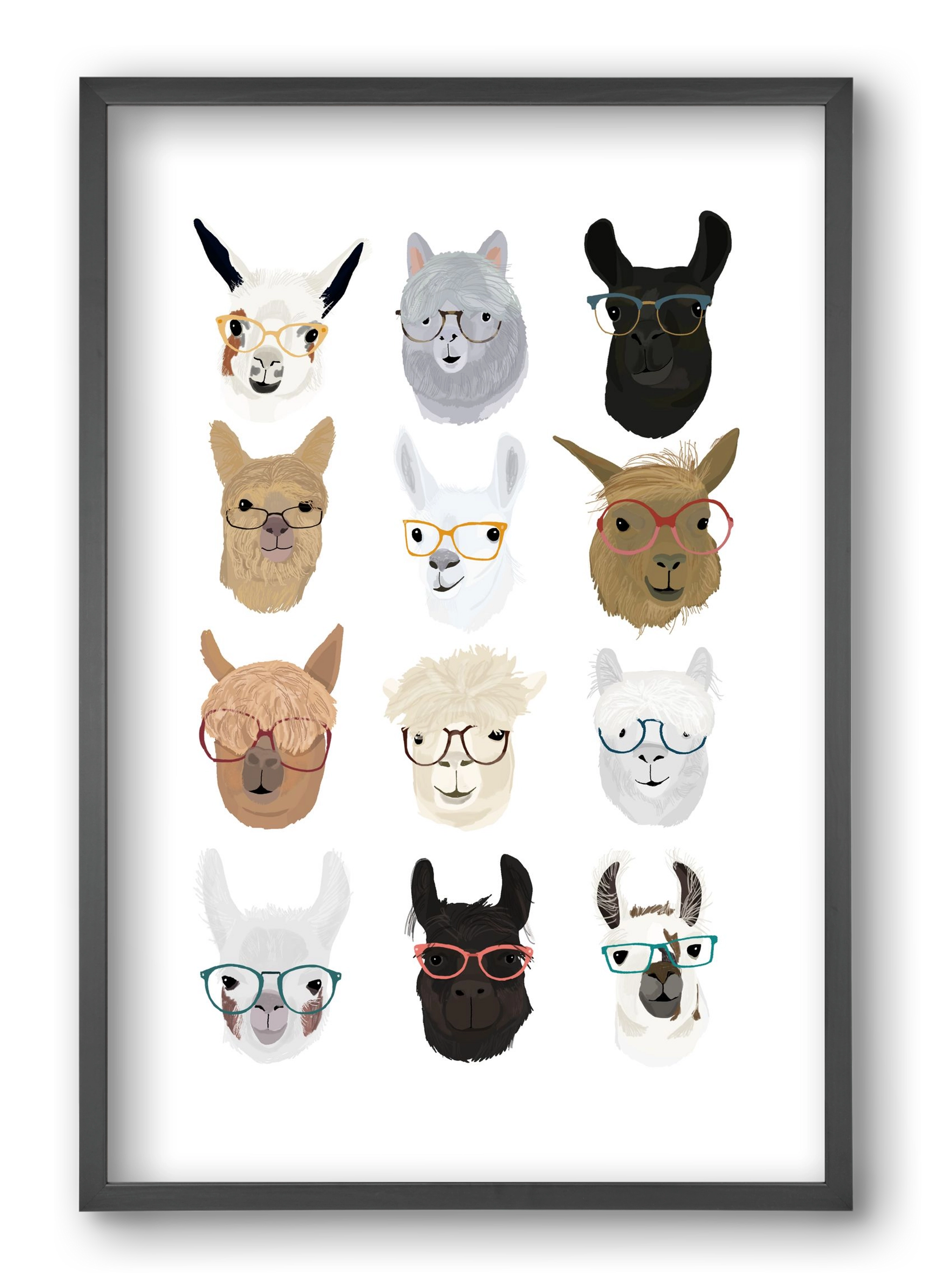 Llamas in Glasses, 40x60 cm (40x60 cm), Fekete keret