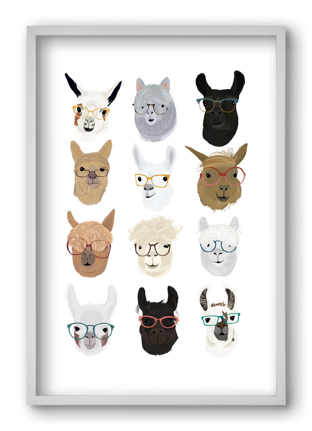 Llamas in Glasses, 40x60 cm (40x60 cm), Fehér keret