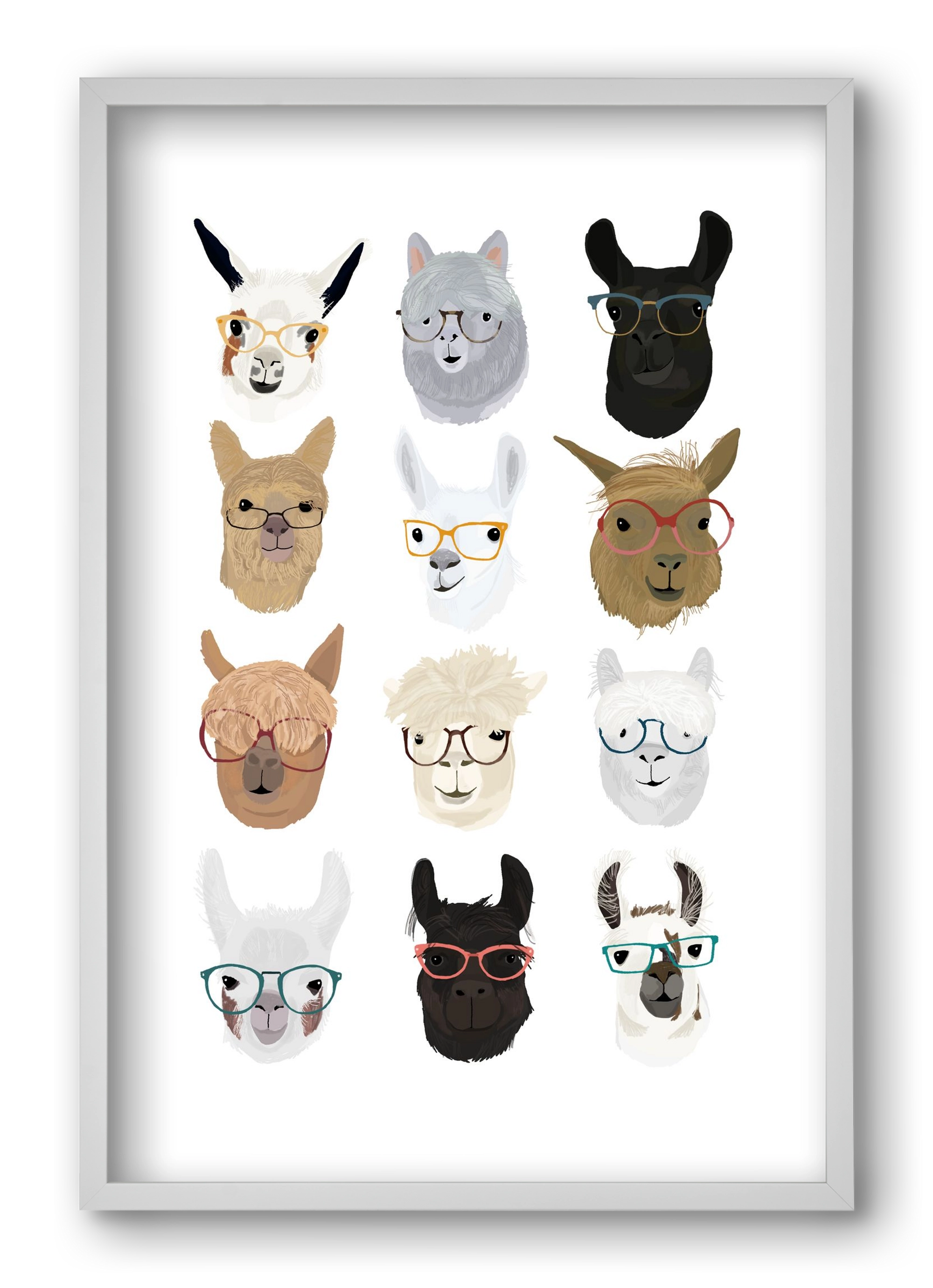 Llamas in Glasses, 40x60 cm (40x60 cm), Fehér keret