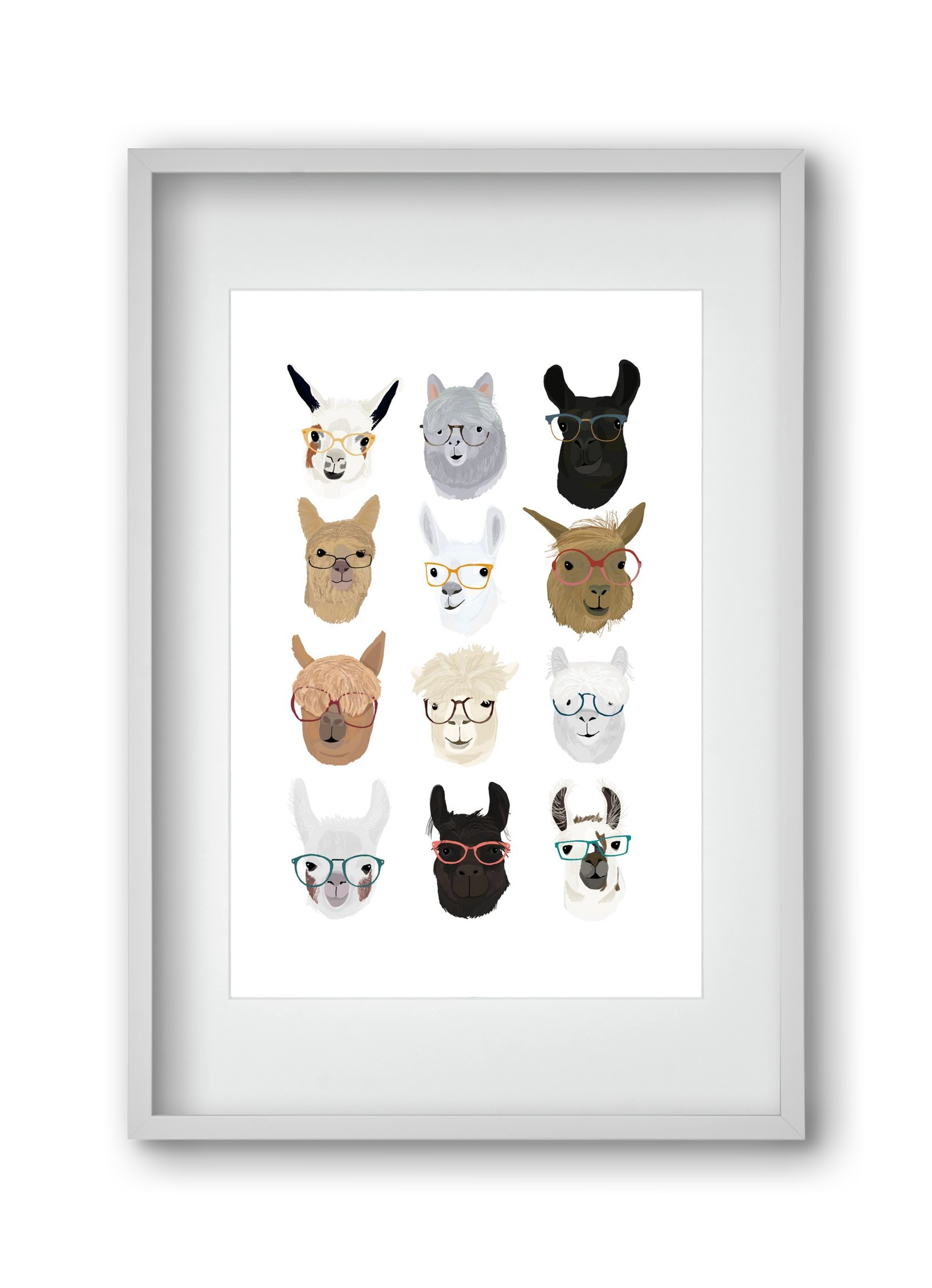 Llamas in Glasses, 30x45 cm (20x30 cm), Fehér keret, paszpartuval