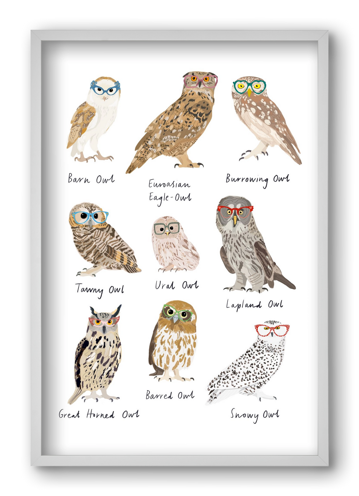 Owls in Glasses, 40x60 cm (40x60 cm), Fehér keret