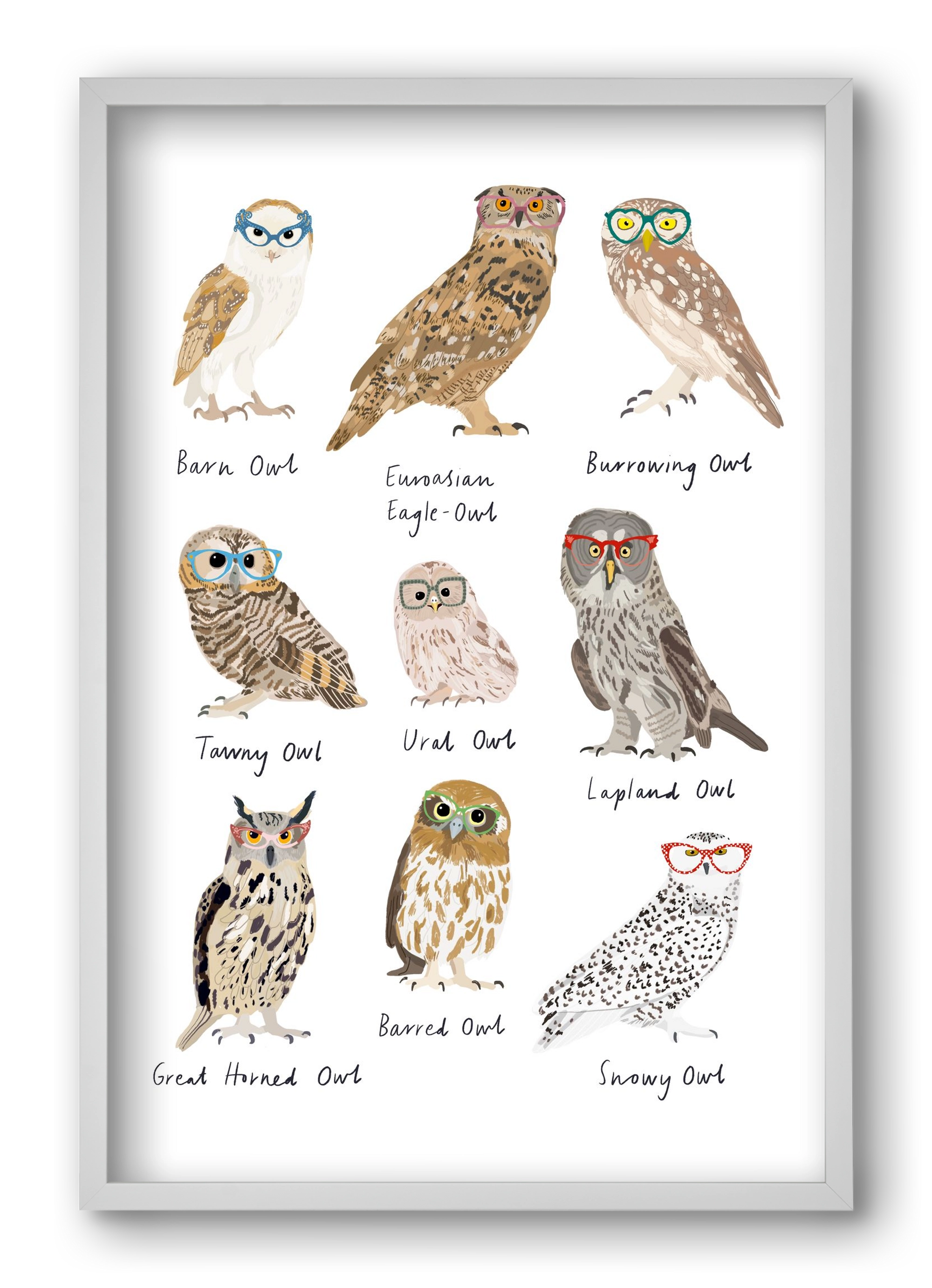 Owls in Glasses, 40x60 cm (40x60 cm), Fehér keret