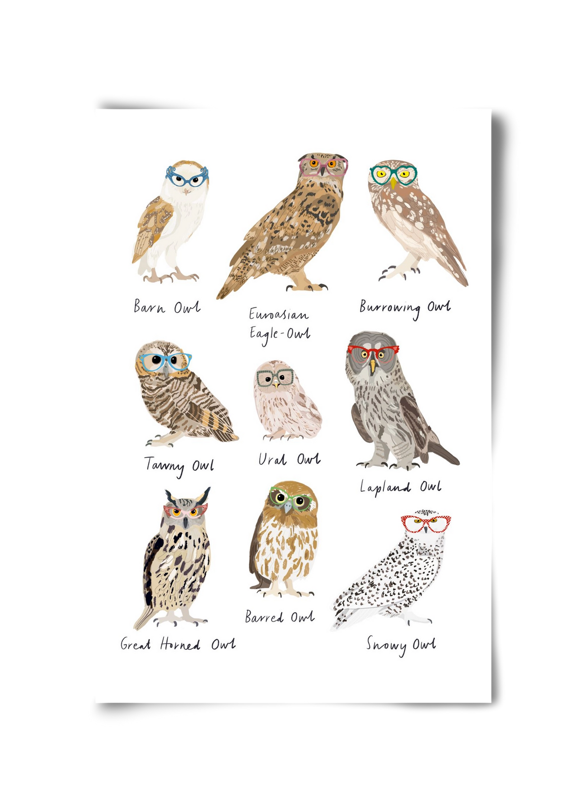 Owls in Glasses, 30x45 cm, Keret nélkül