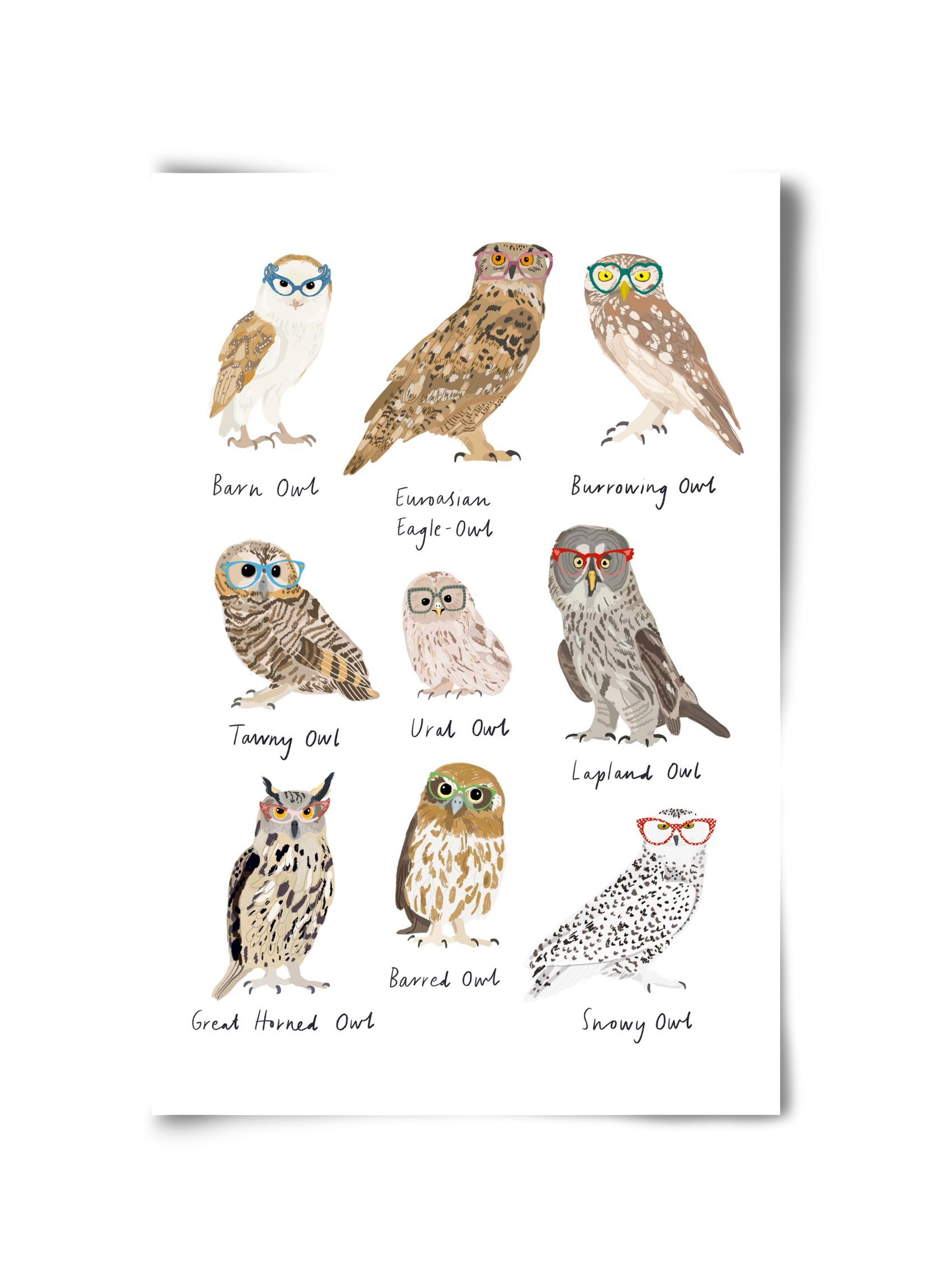 Owls in Glasses, 30x45 cm, Keret nélkül