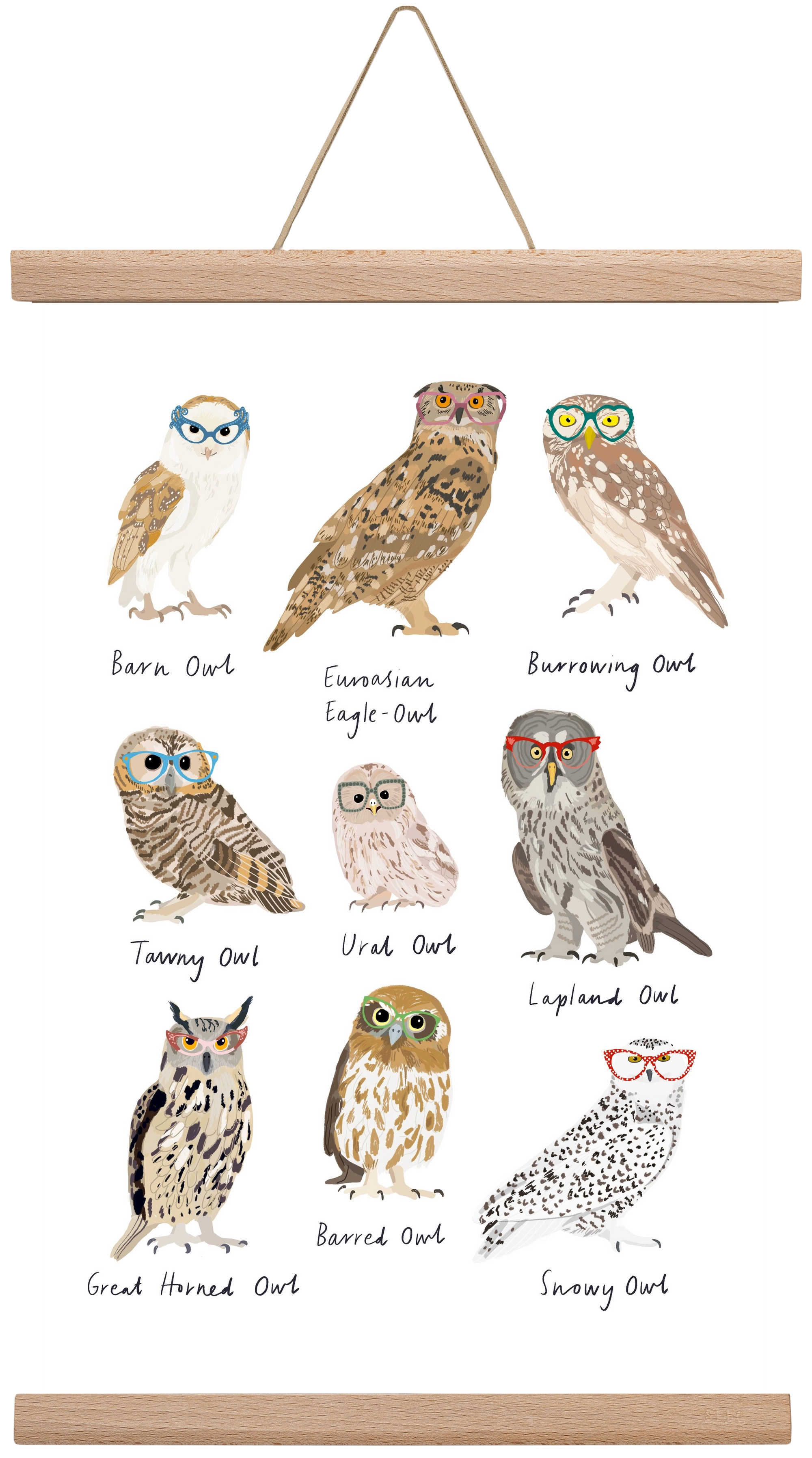 Owls in Glasses, 30x45 cm (30x45 cm), Tölgy akasztó