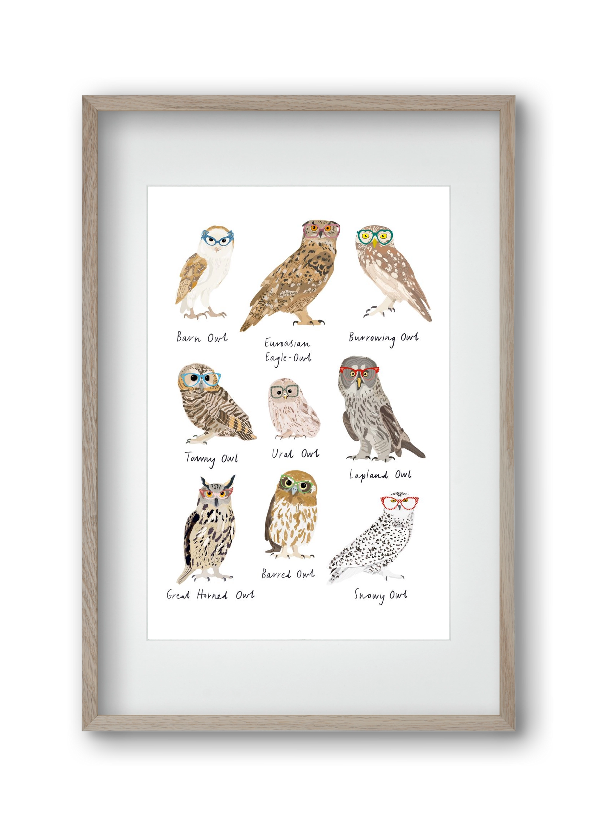 Owls in Glasses, 30x45 cm (20x30 cm), Tölgy keret, paszpartuval
