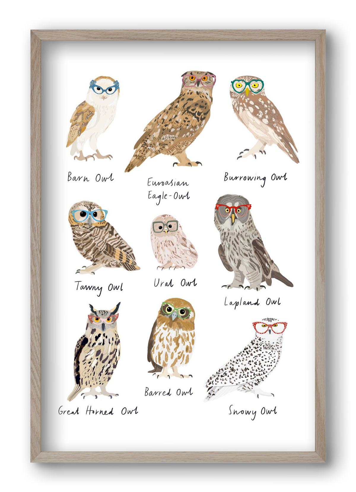 Owls in Glasses, 40x60 cm (40x60 cm), Tölgy keret