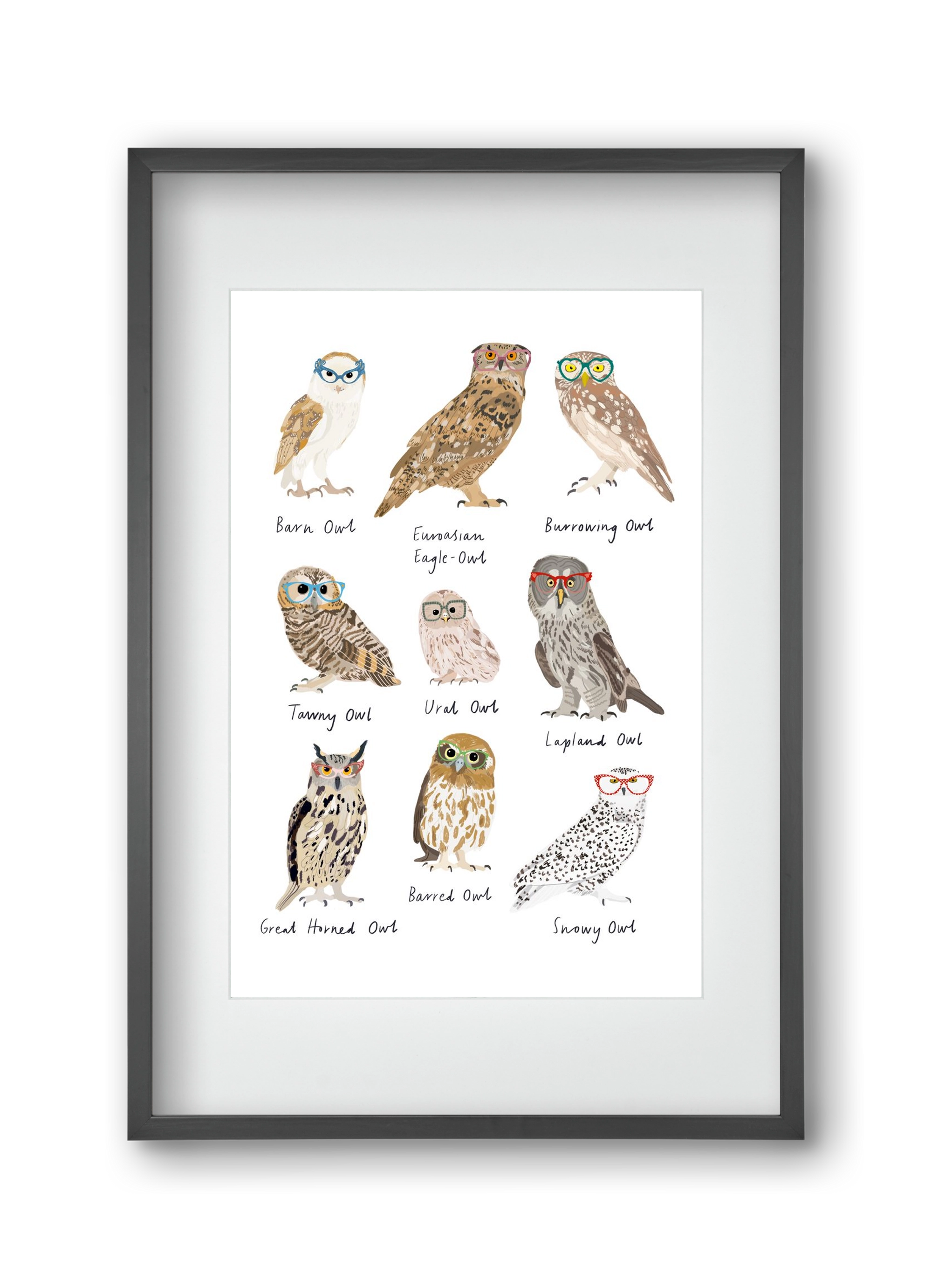 Owls in Glasses, 30x45 cm (20x30 cm), Fekete keret, paszpartuval